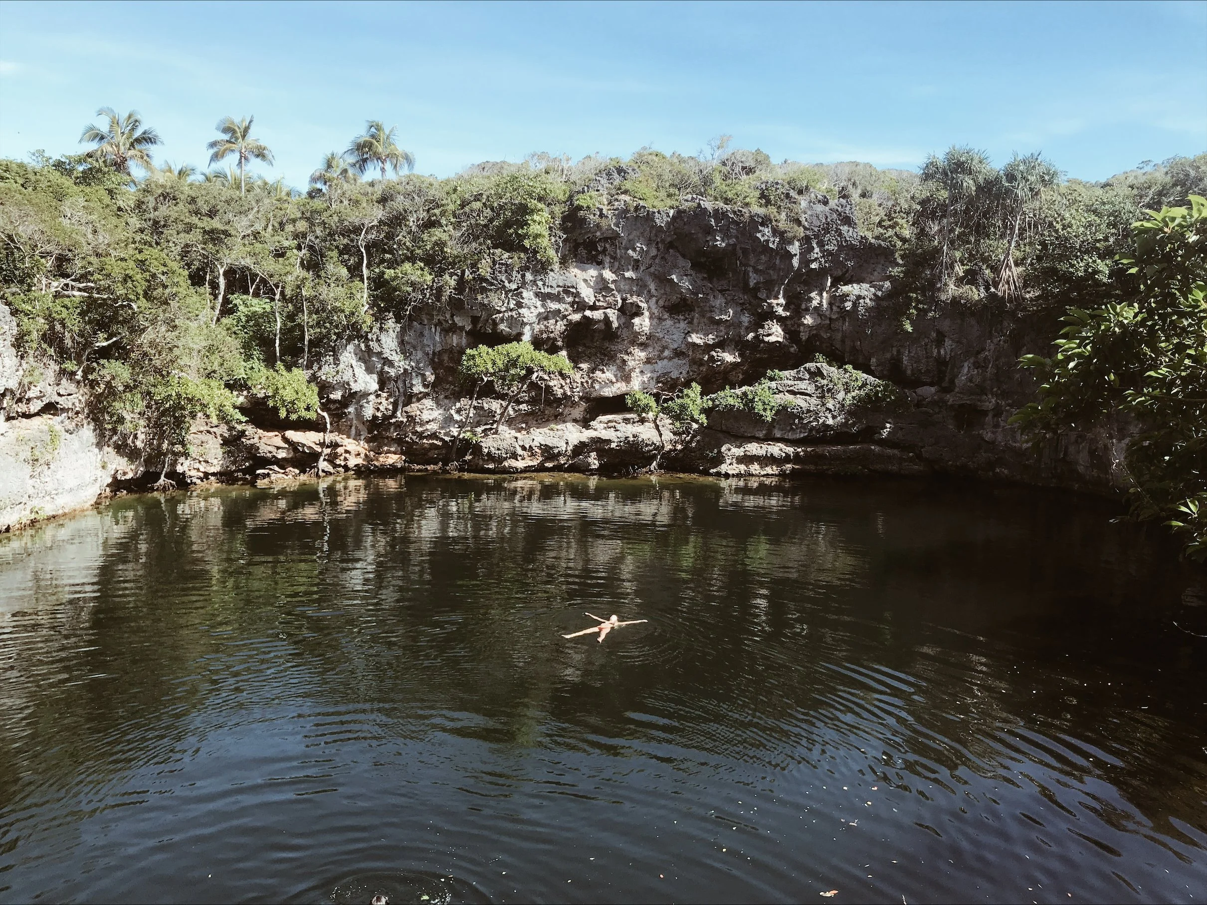 Une vue d'une rivière entourée d'une végétation dense avec des arbres et des rochers, sous un ciel bleu clair.
