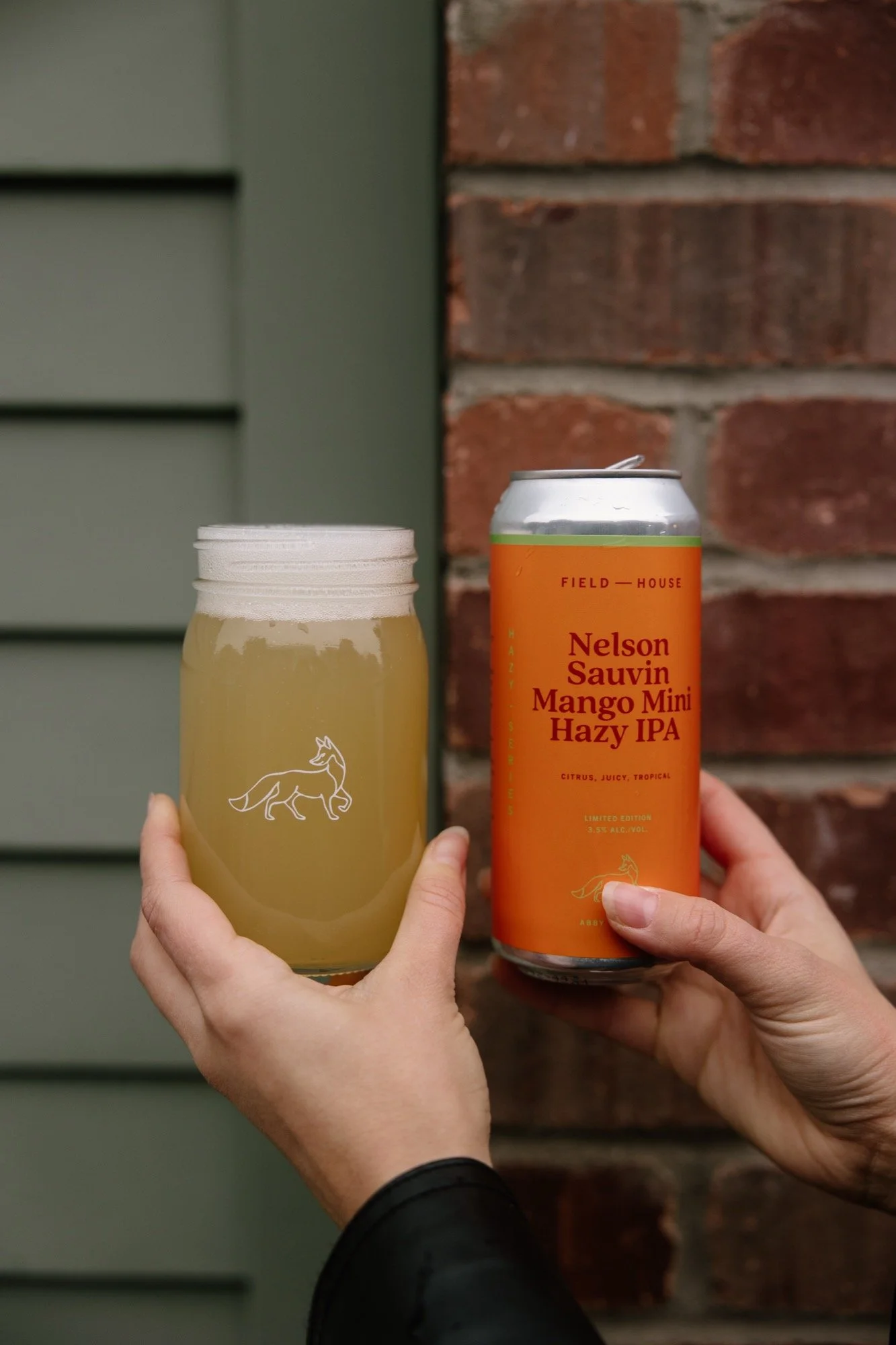 fh-nelson-sauvin-mango-mini-hazy-ipa.12.19.25-4.jpg