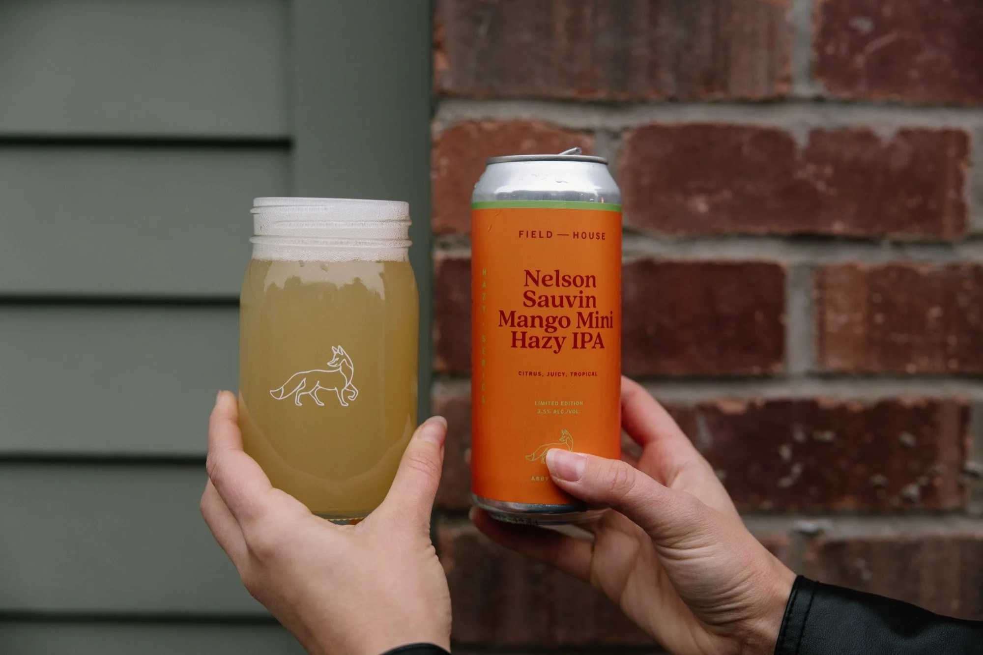 fh-nelson-sauvin-mango-mini-hazy-ipa.12.19.25-5.jpg