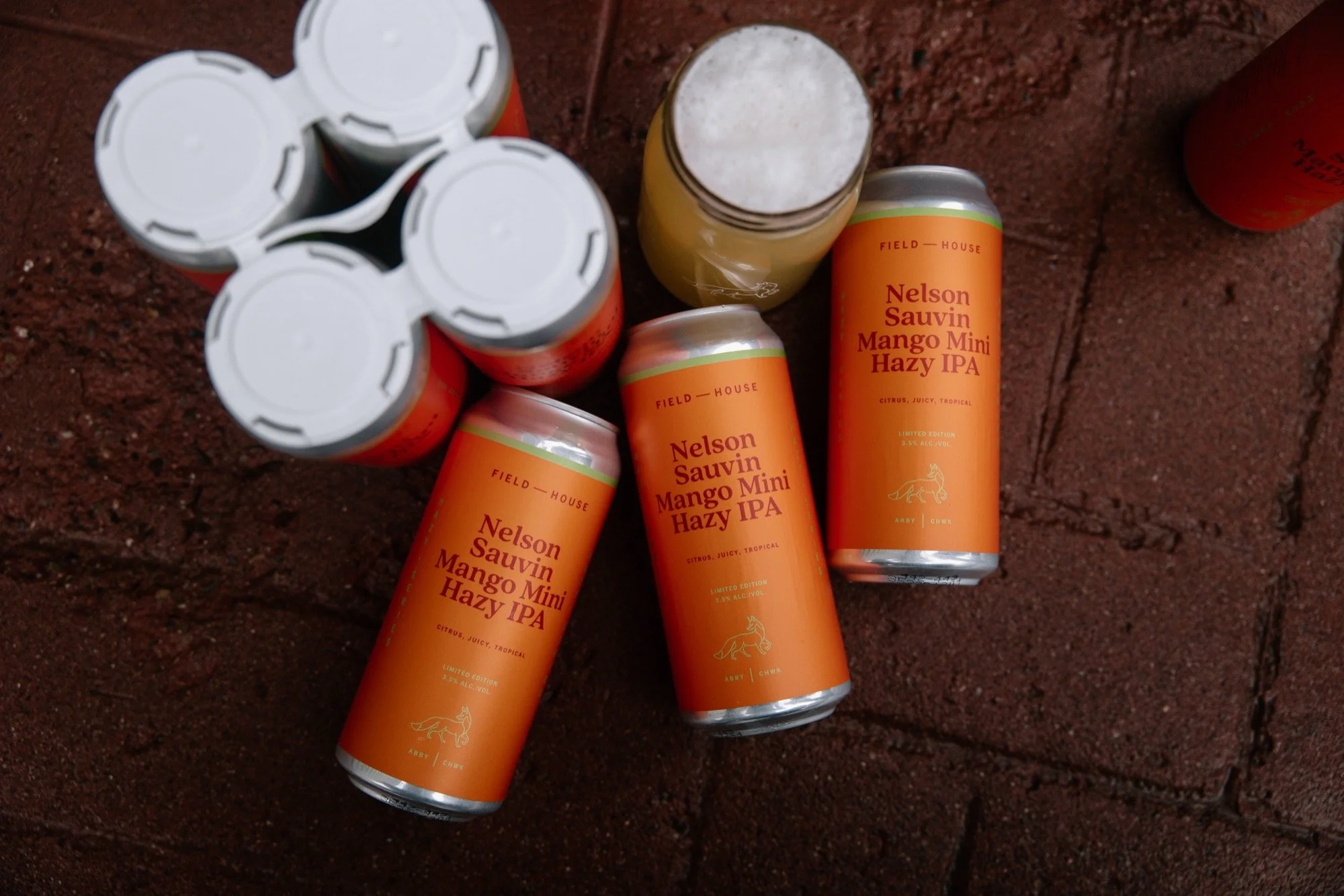 fh-nelson-sauvin-mango-mini-hazy-ipa.12.19.25-7.jpg