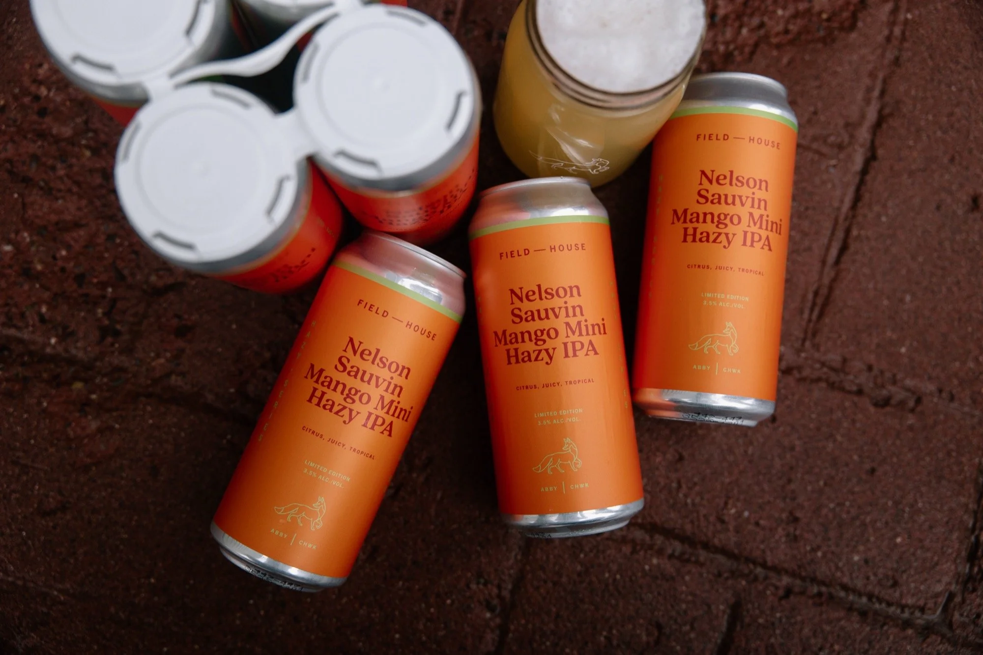 fh-nelson-sauvin-mango-mini-hazy-ipa.12.19.25-8.jpg