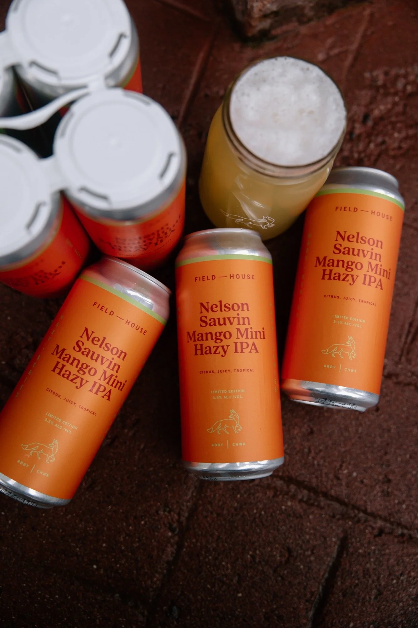fh-nelson-sauvin-mango-mini-hazy-ipa.12.19.25-9.jpg