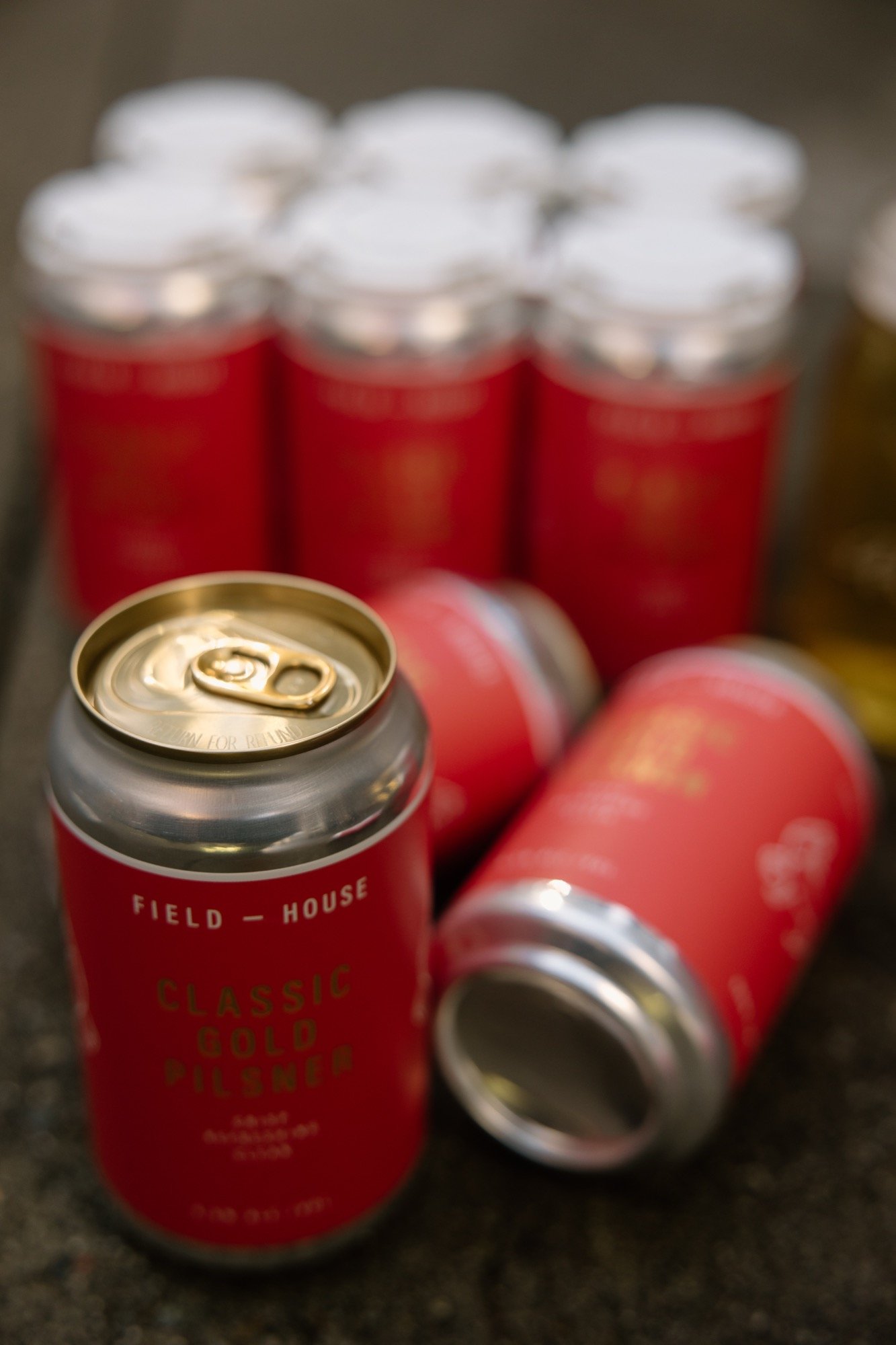 fh-classic-gold-pilsner.03.02.26-17.jpg