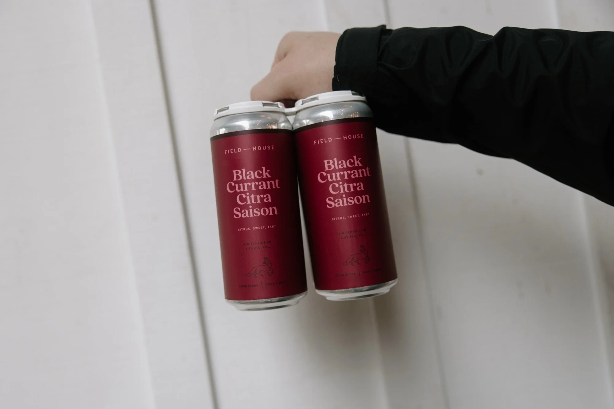 fh-black-currant-citra-saison.03.06.26-3.jpg