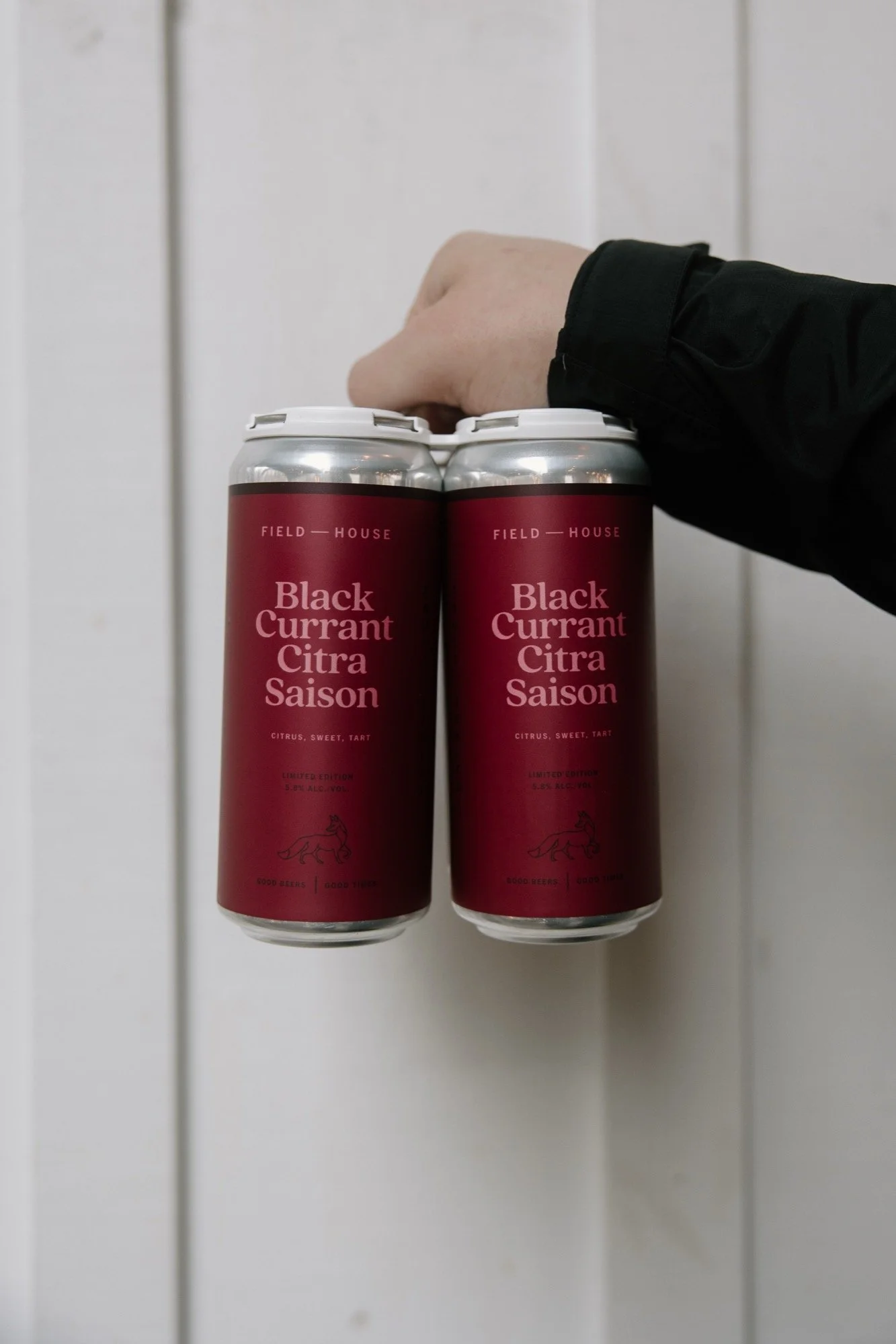 fh-black-currant-citra-saison.03.06.26-4.jpg