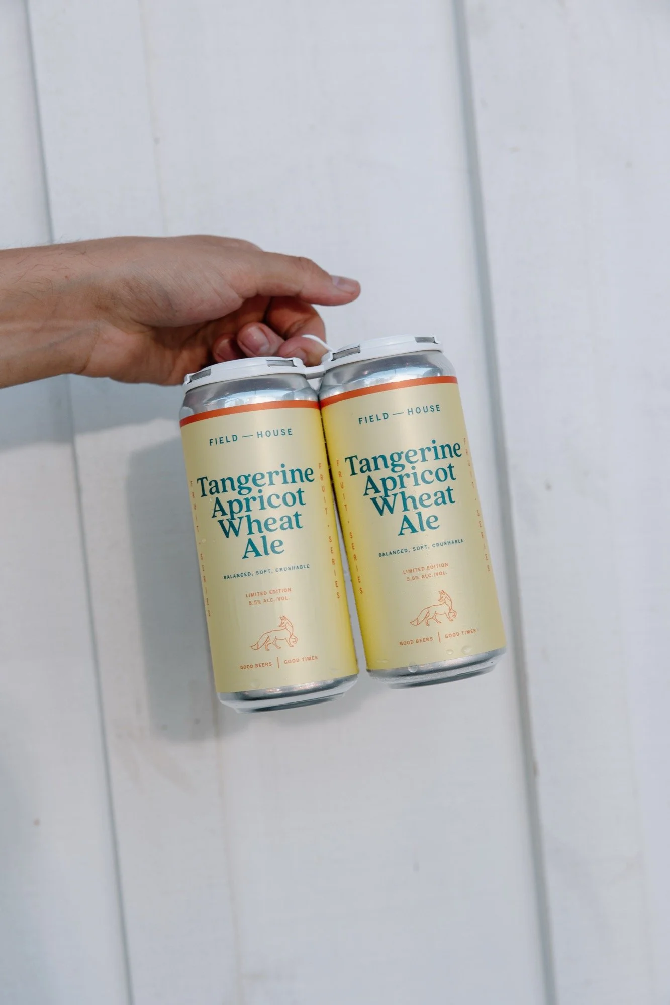 fh-tangerine-apricot-wheat-ale.06.17.26-2.jpg