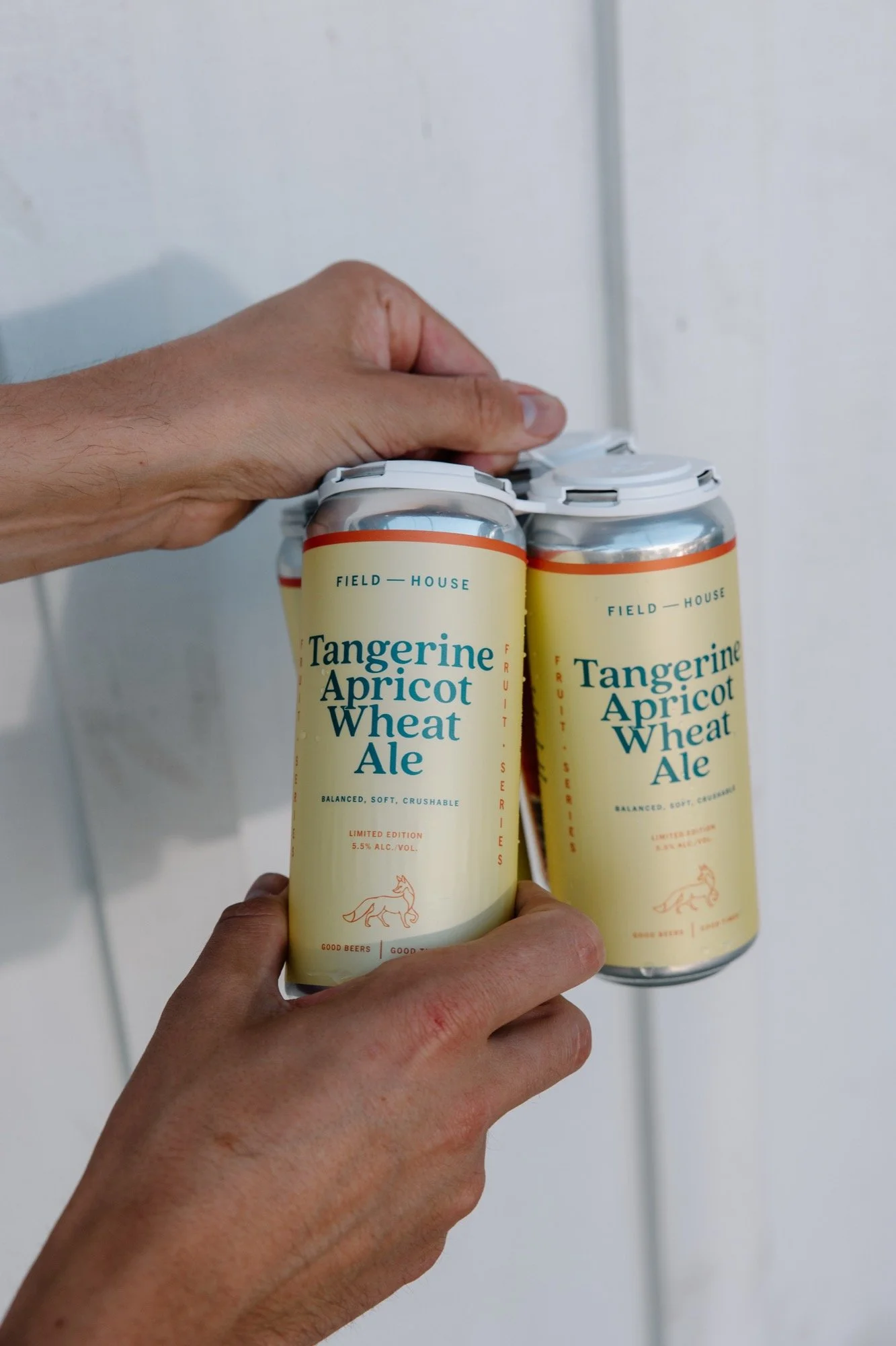 fh-tangerine-apricot-wheat-ale.06.17.26-4.jpg
