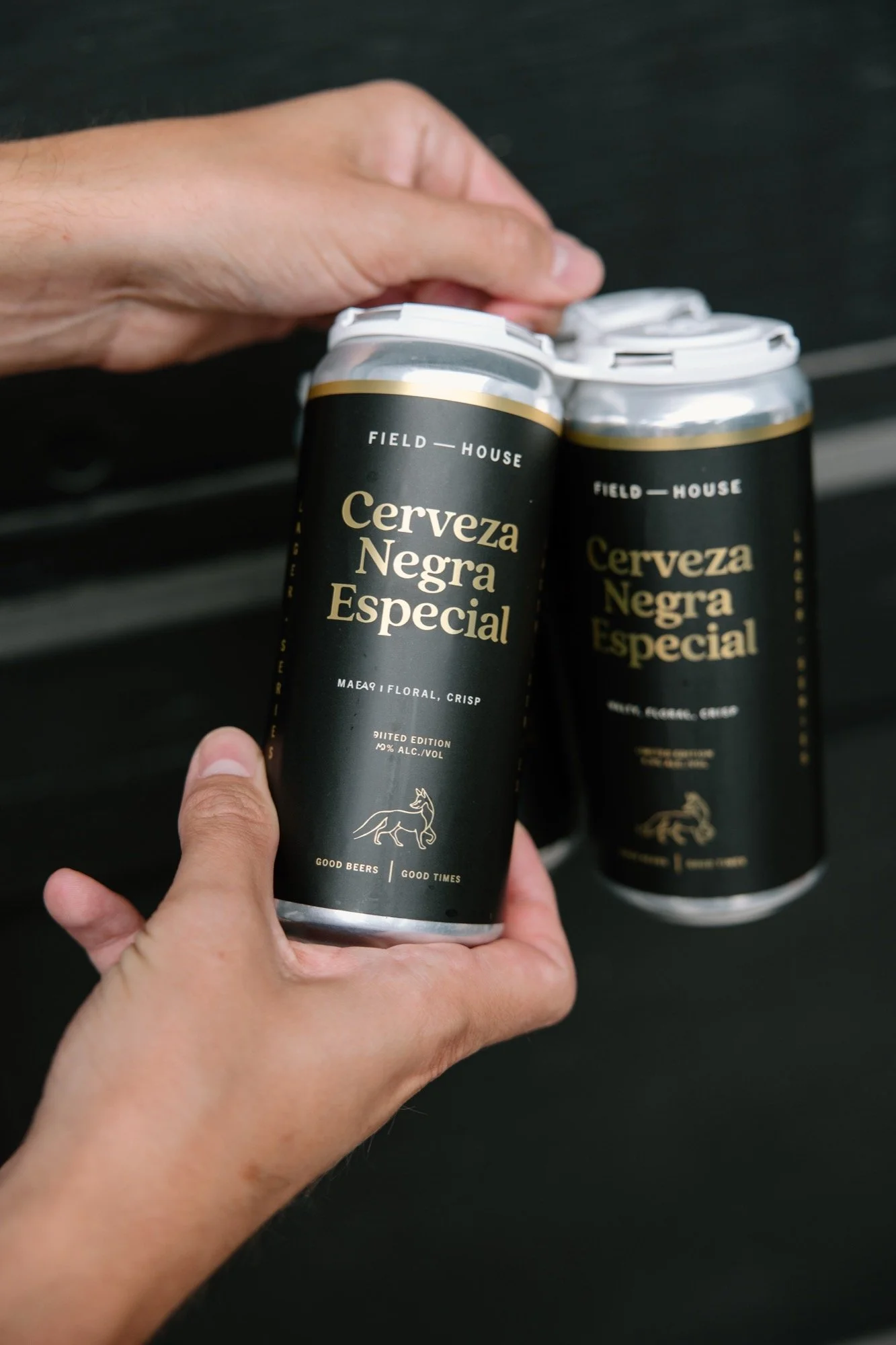 fh-cerveza-negra-especial.09.01.26-3.jpg