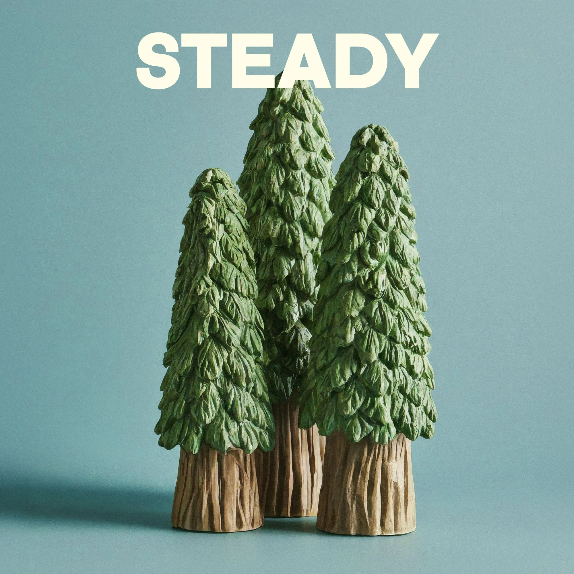 Cover_Steady.jpg