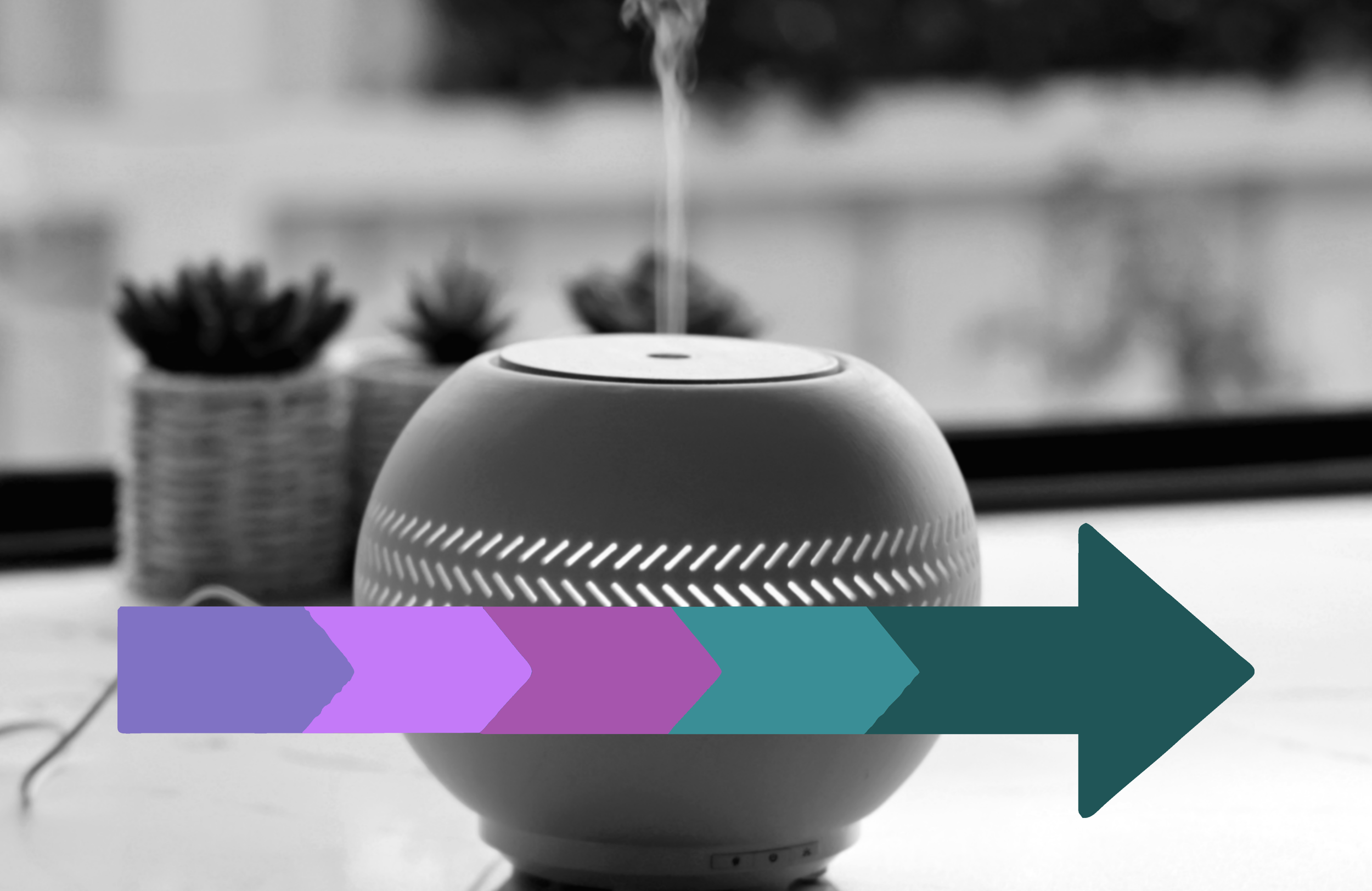 A black and white photo of a round diffuser with steam rising from it on a table, with blurred potted succulent plants in the background.