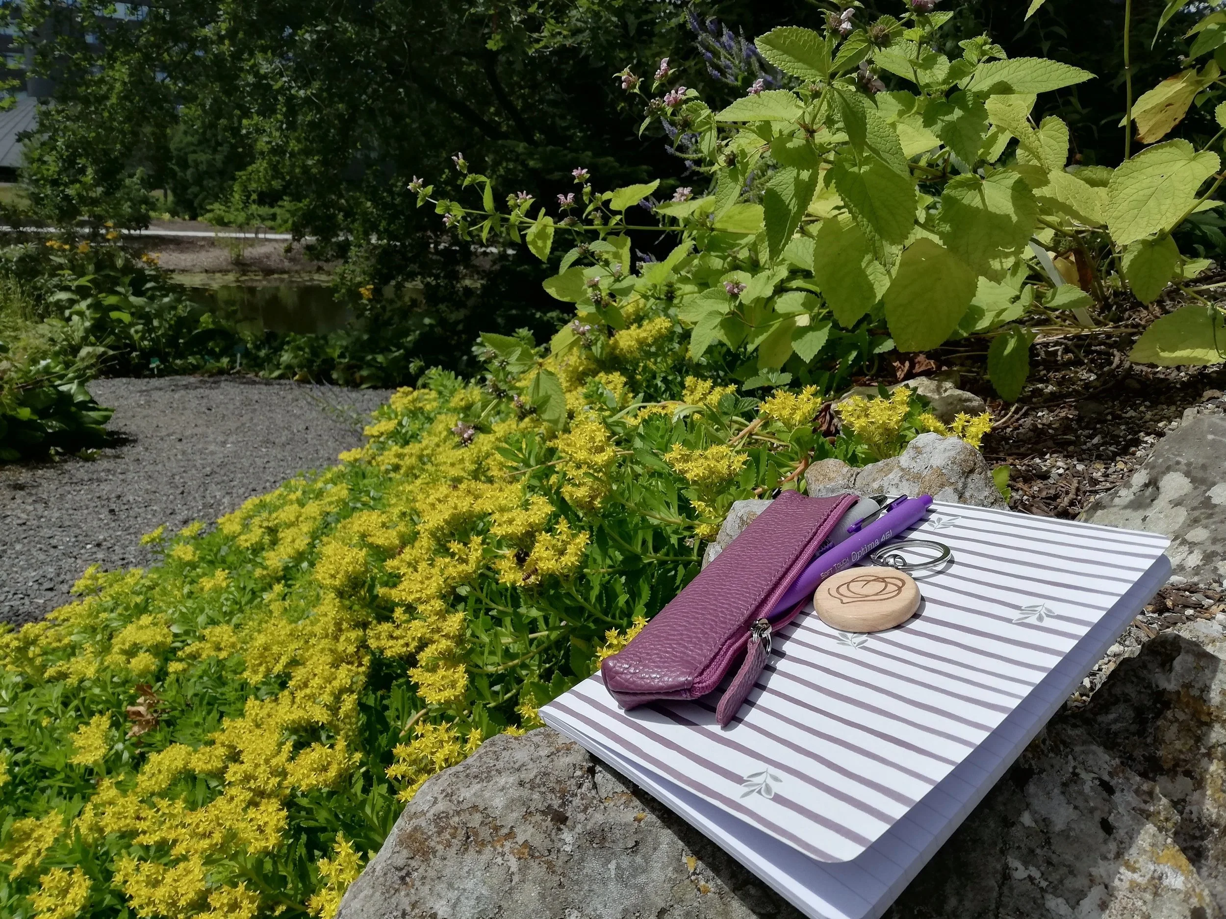 A notebook, purple pen, small purple purse, rings, and a wooden badge with a logo resting on a striped notebook, placed on a stone in a garden with green plants and yellow flowers.
