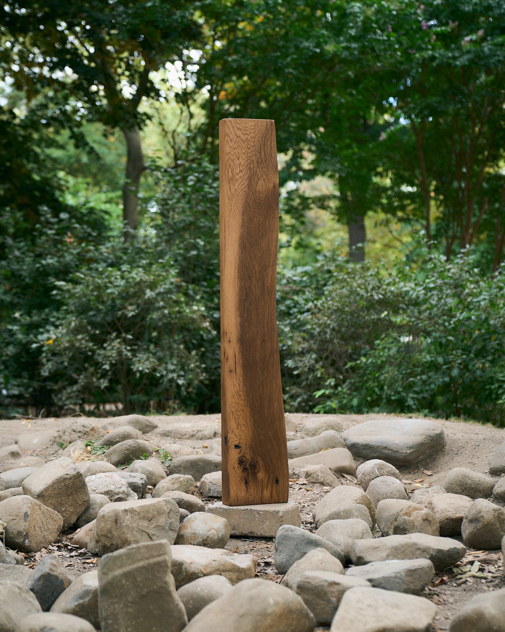 wave_column_v2_bws_2024.jpg