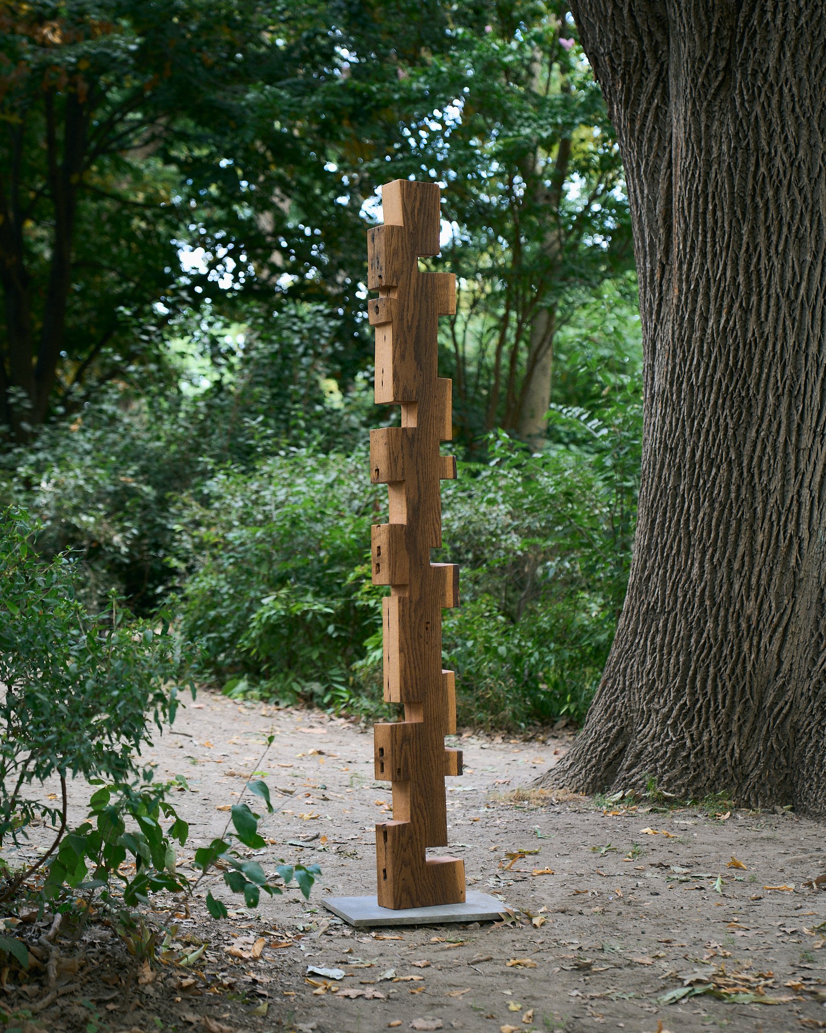tiered_column_v1_bws_2024.jpg