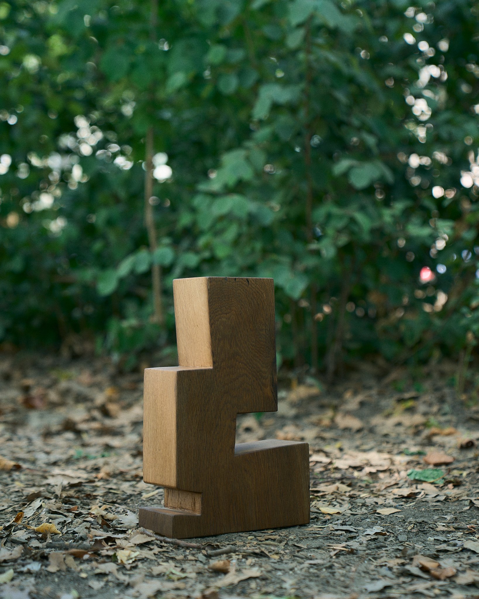 contoured_form_II_v2_bws_2024.jpg