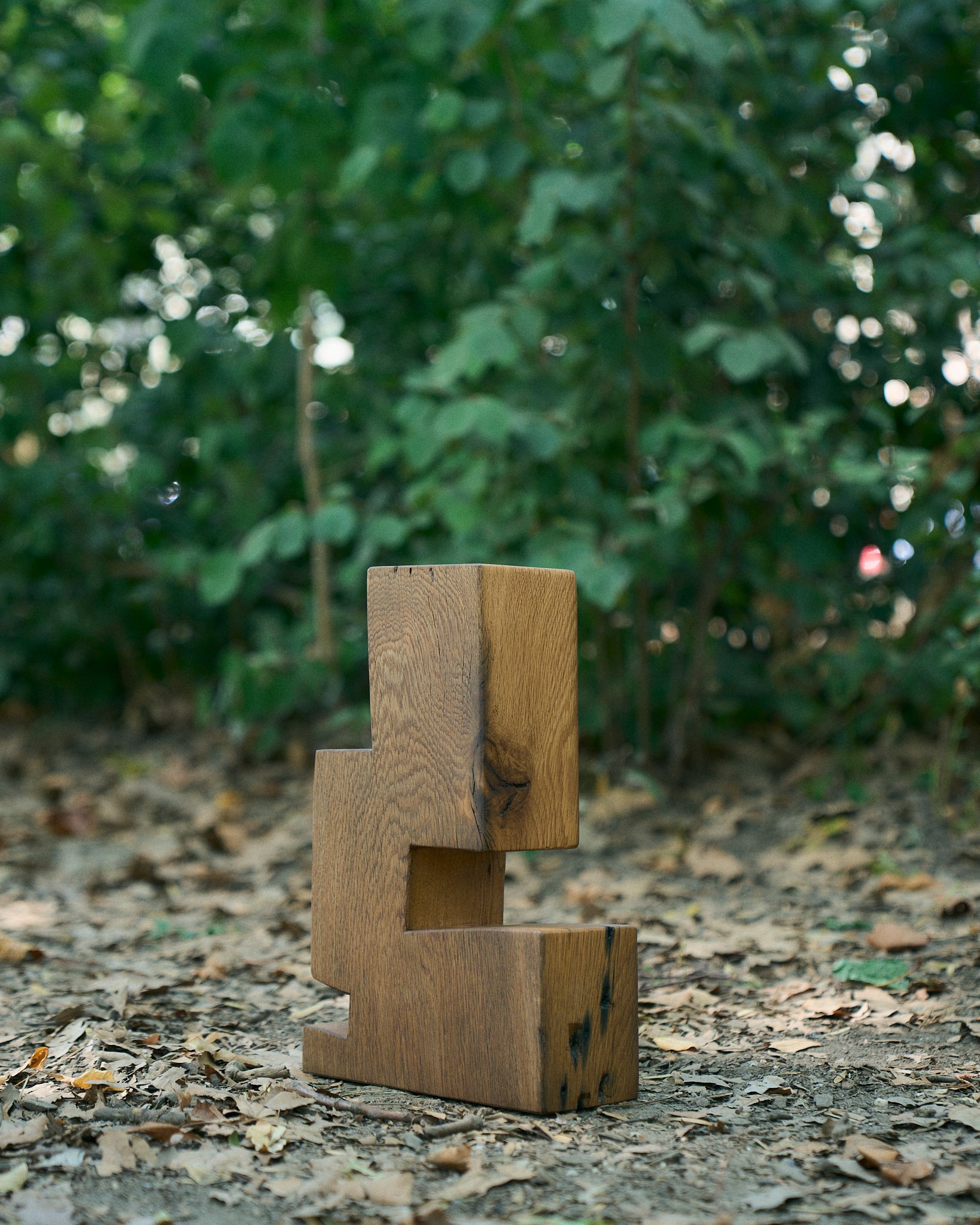 contoured_form_II_v3_bws_2024.jpg