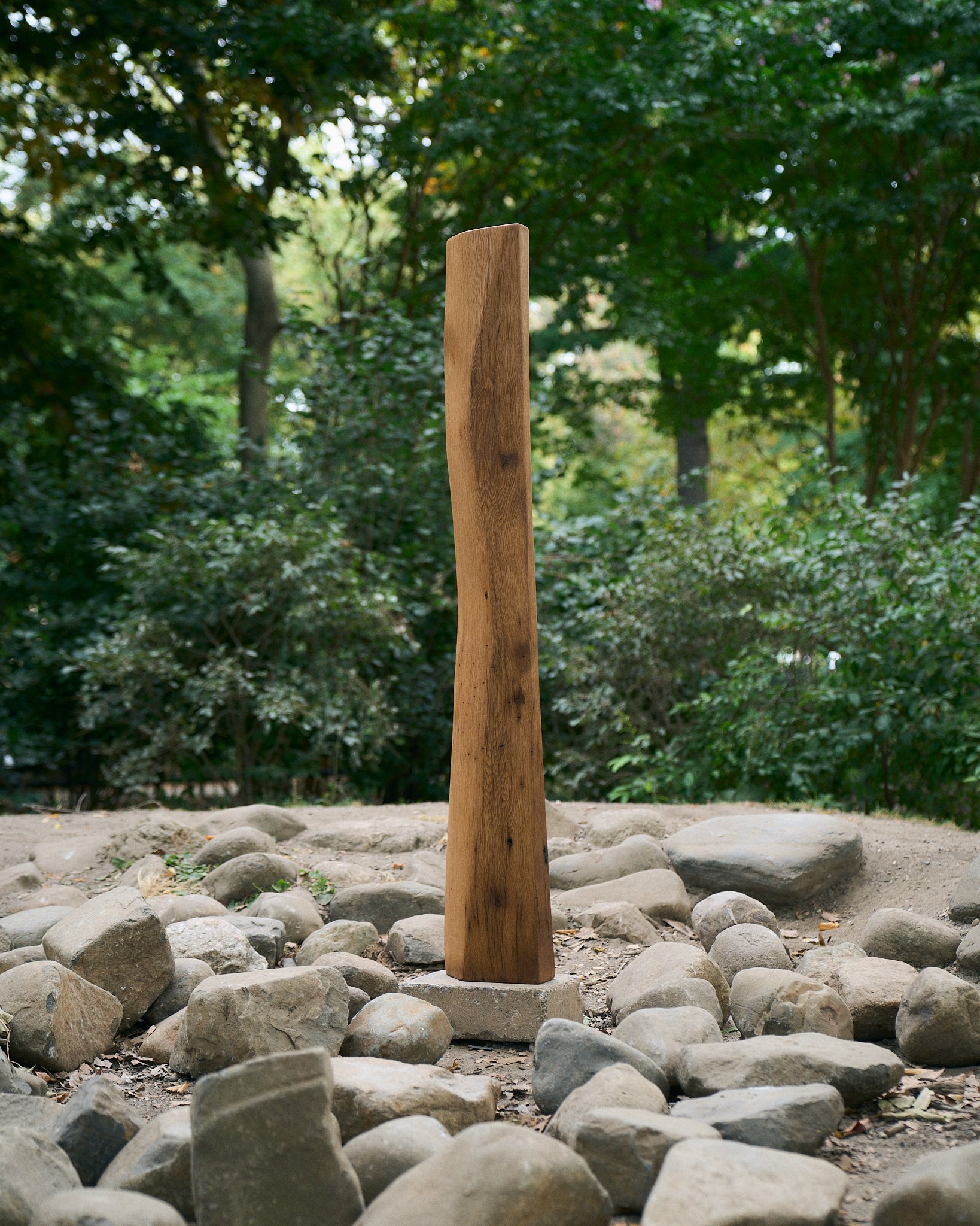 wave_column_v1_bws_2024.jpg