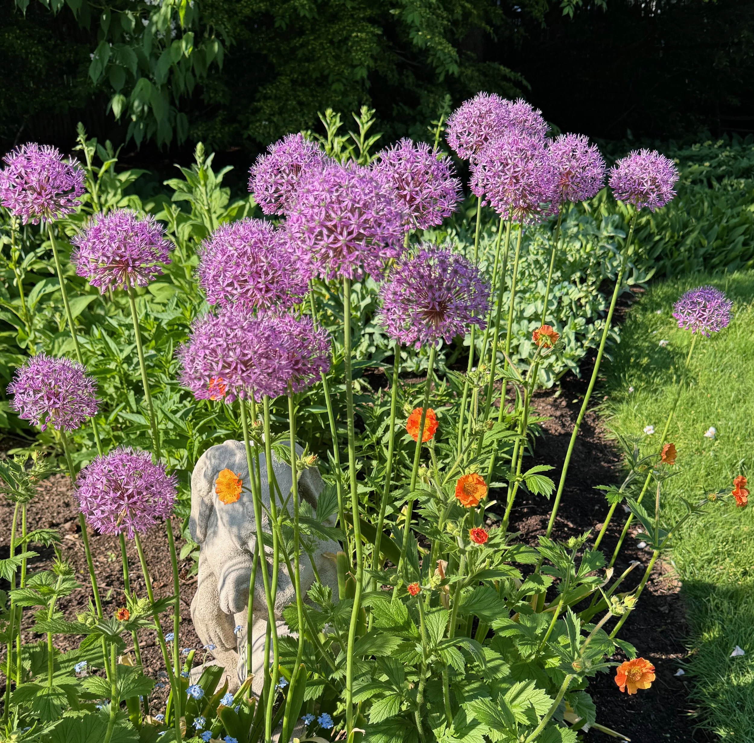 IMG_4560.jpeg