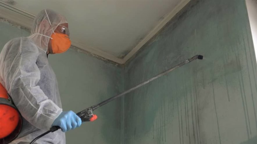 How Long Does Mold Remediation Take