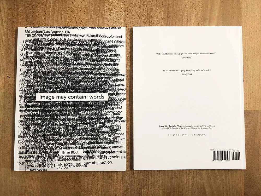 
IMAGE MAY CONTAIN: WORDS  (2017-19)

This volume is an interpretive artwork in the form of a book. It contains photos of the wall labels of the 2017 Biennial at the Whitney Museum of American Art, compiled in random order. 
The title is cribbed from