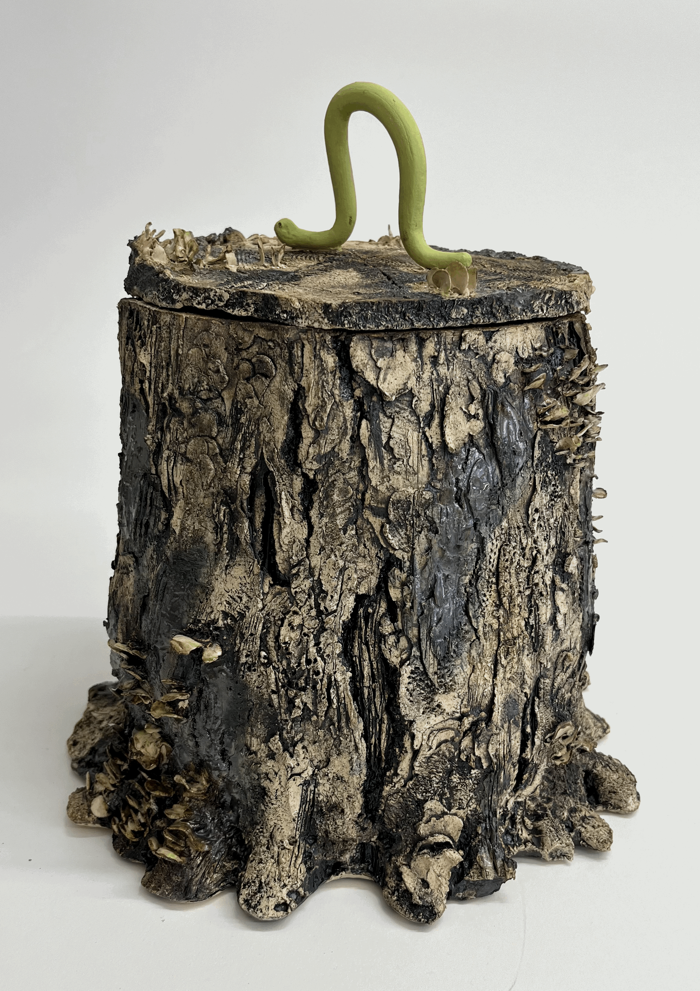 Tree Stump Jar with worm