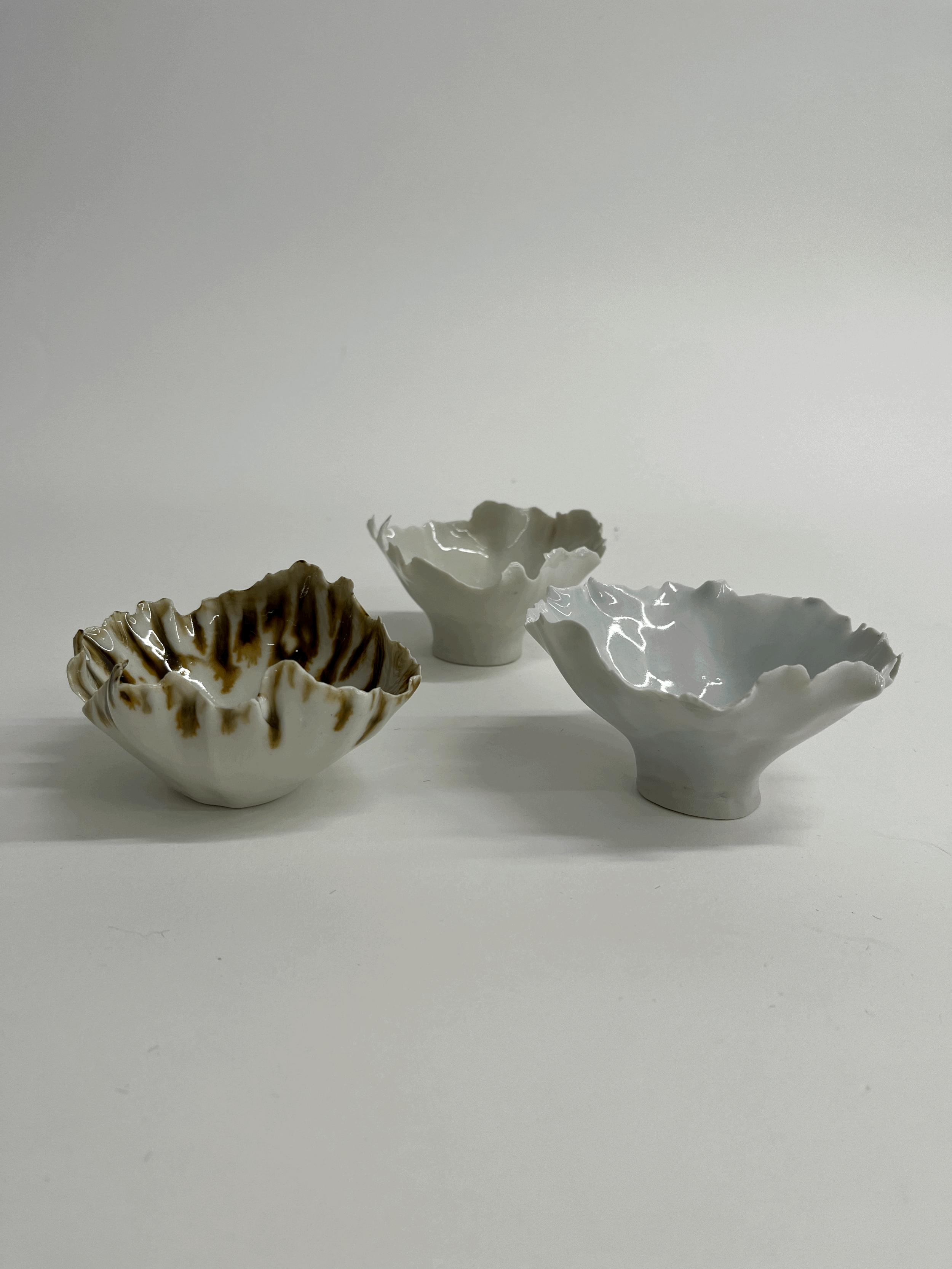 Porcelain dishes