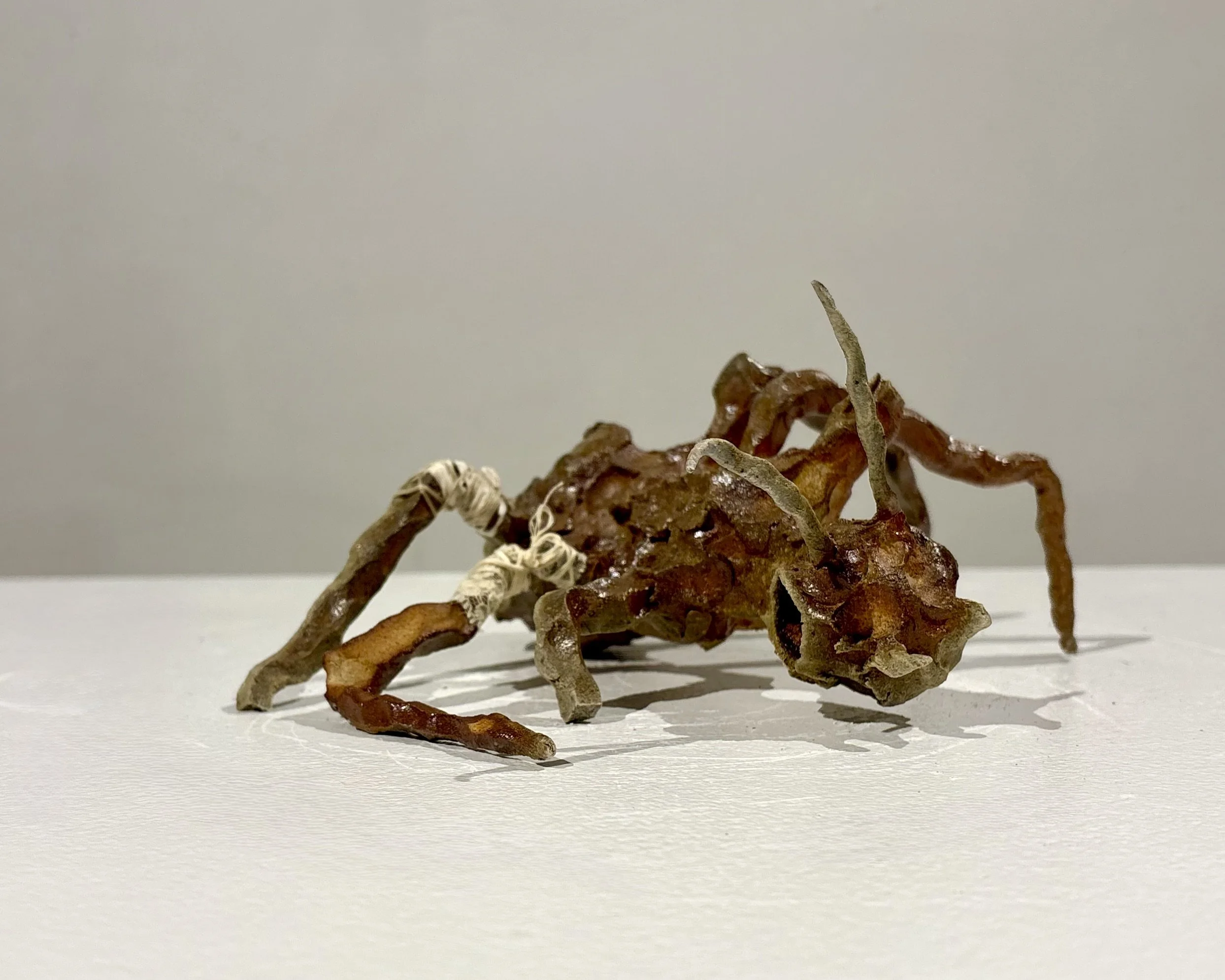 IMG_0531.jpeg