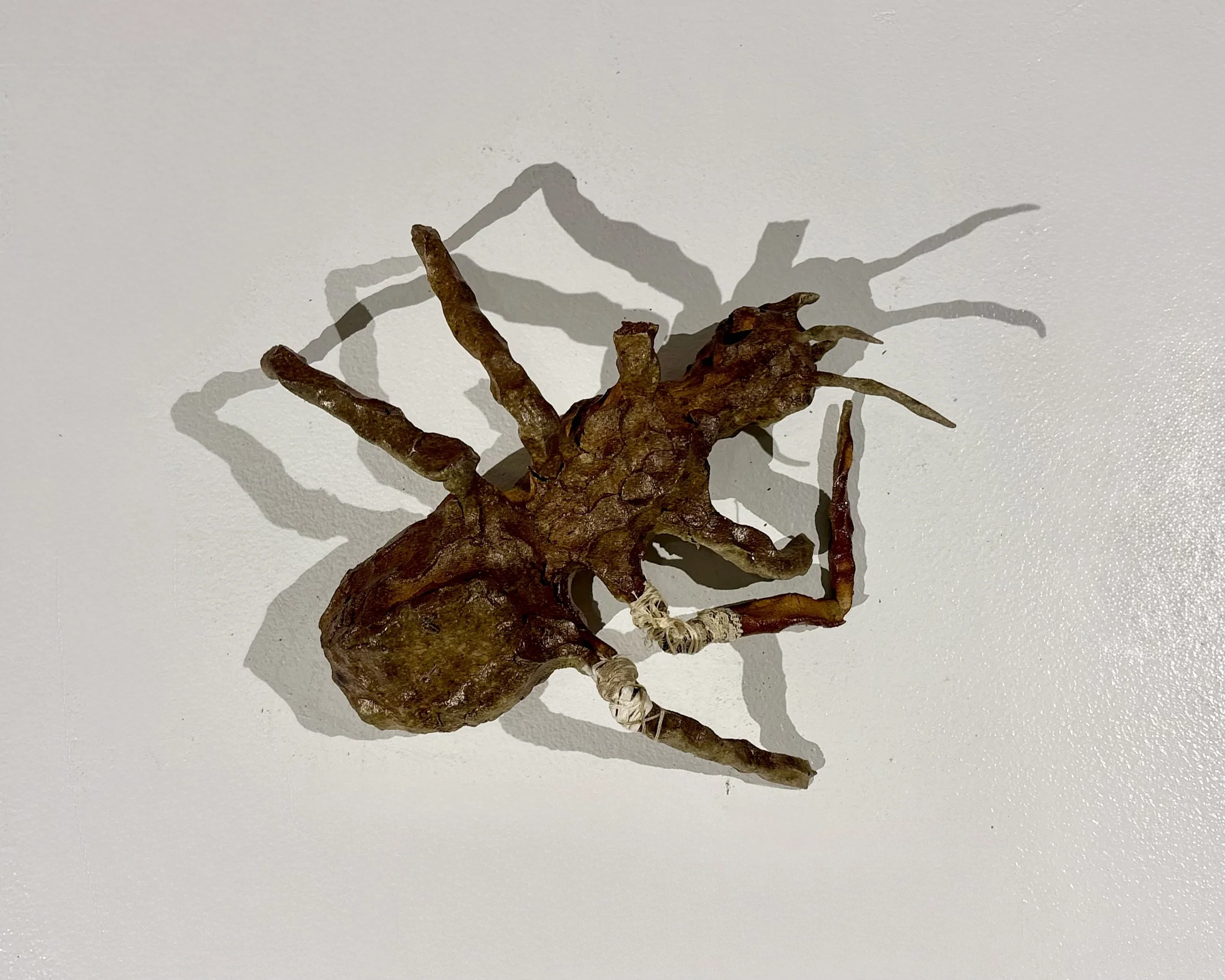 IMG_0523.jpeg