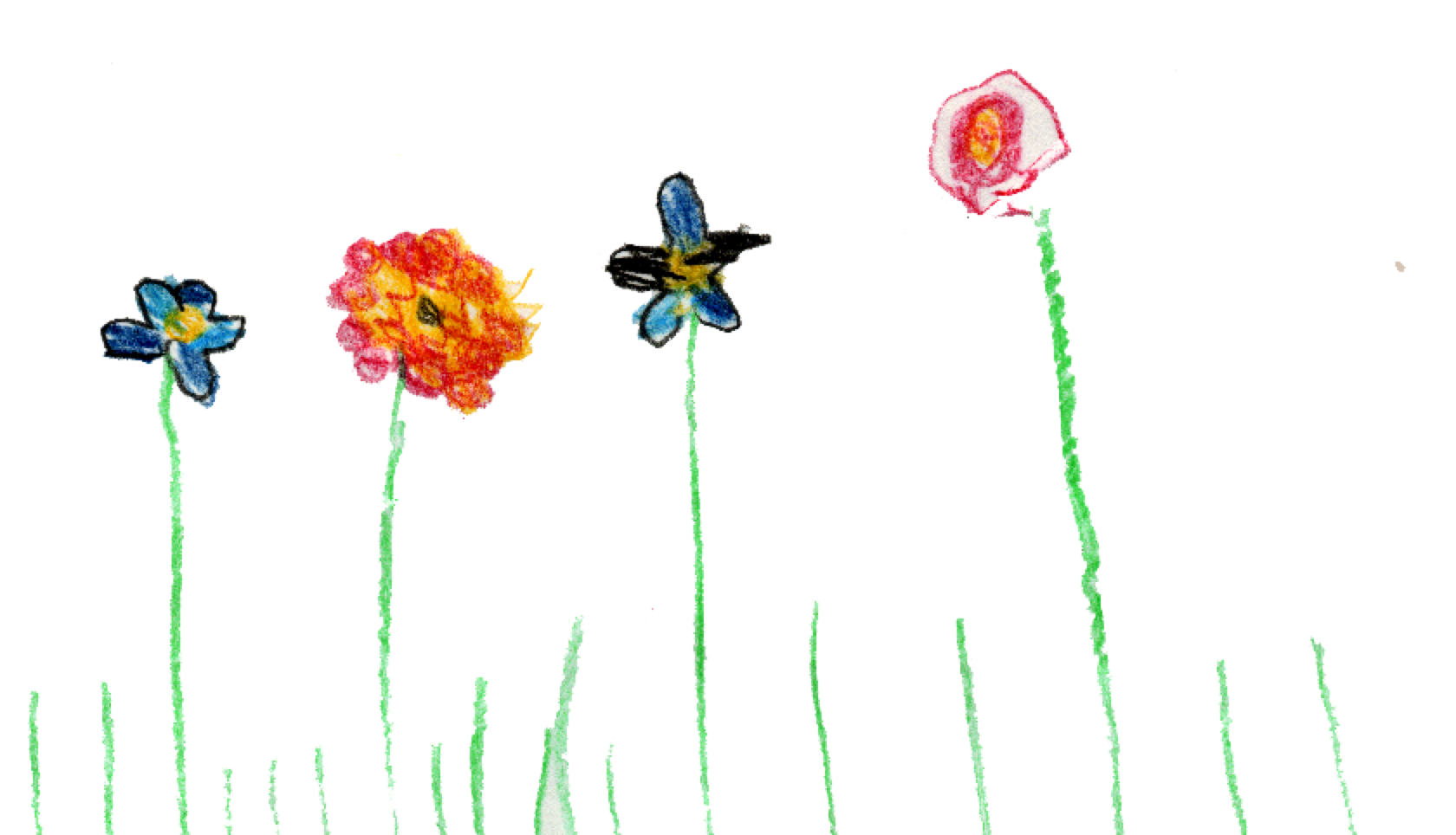 child's drawing of flowers