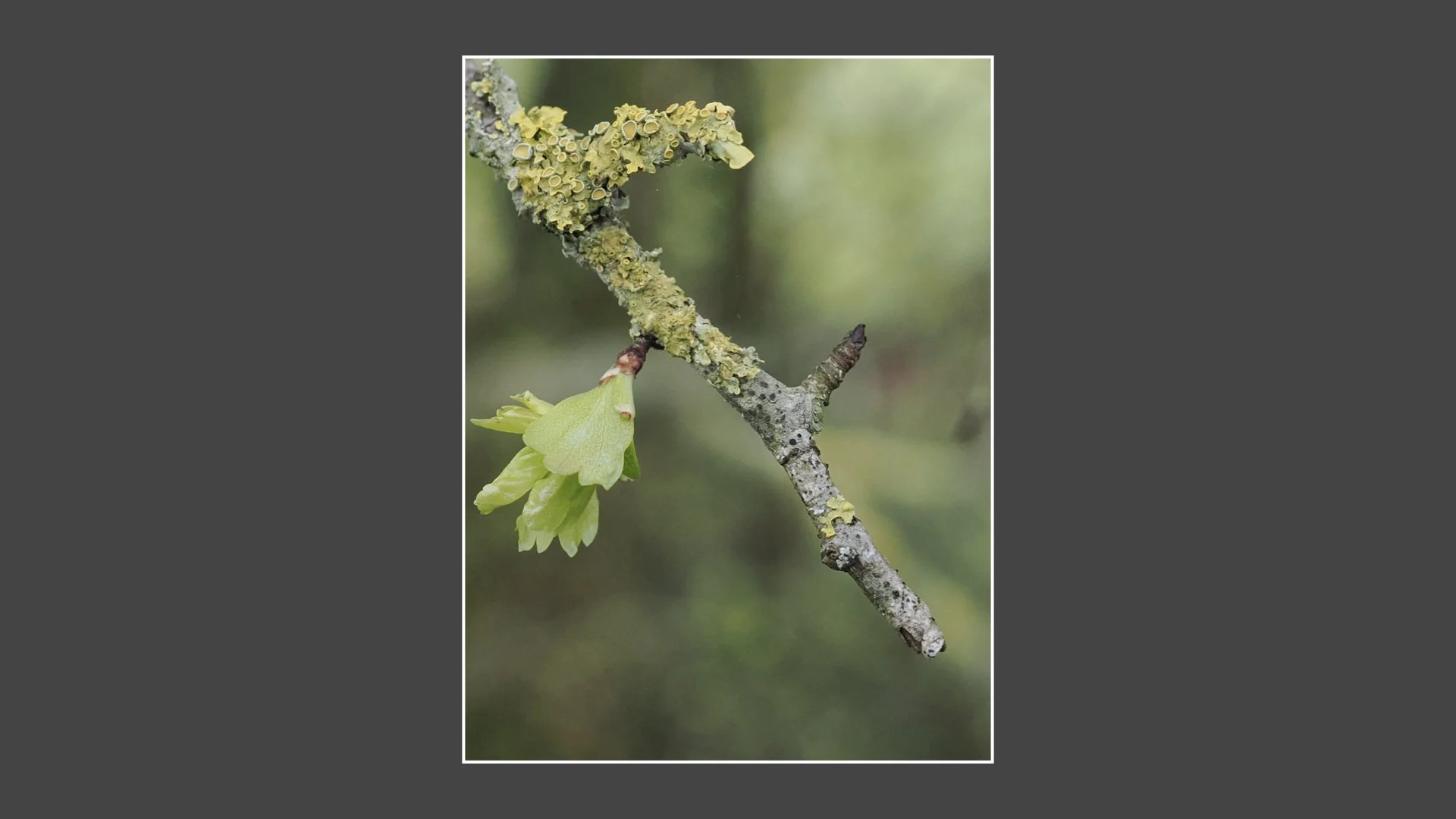 Kinsbury WP.053.jpeg