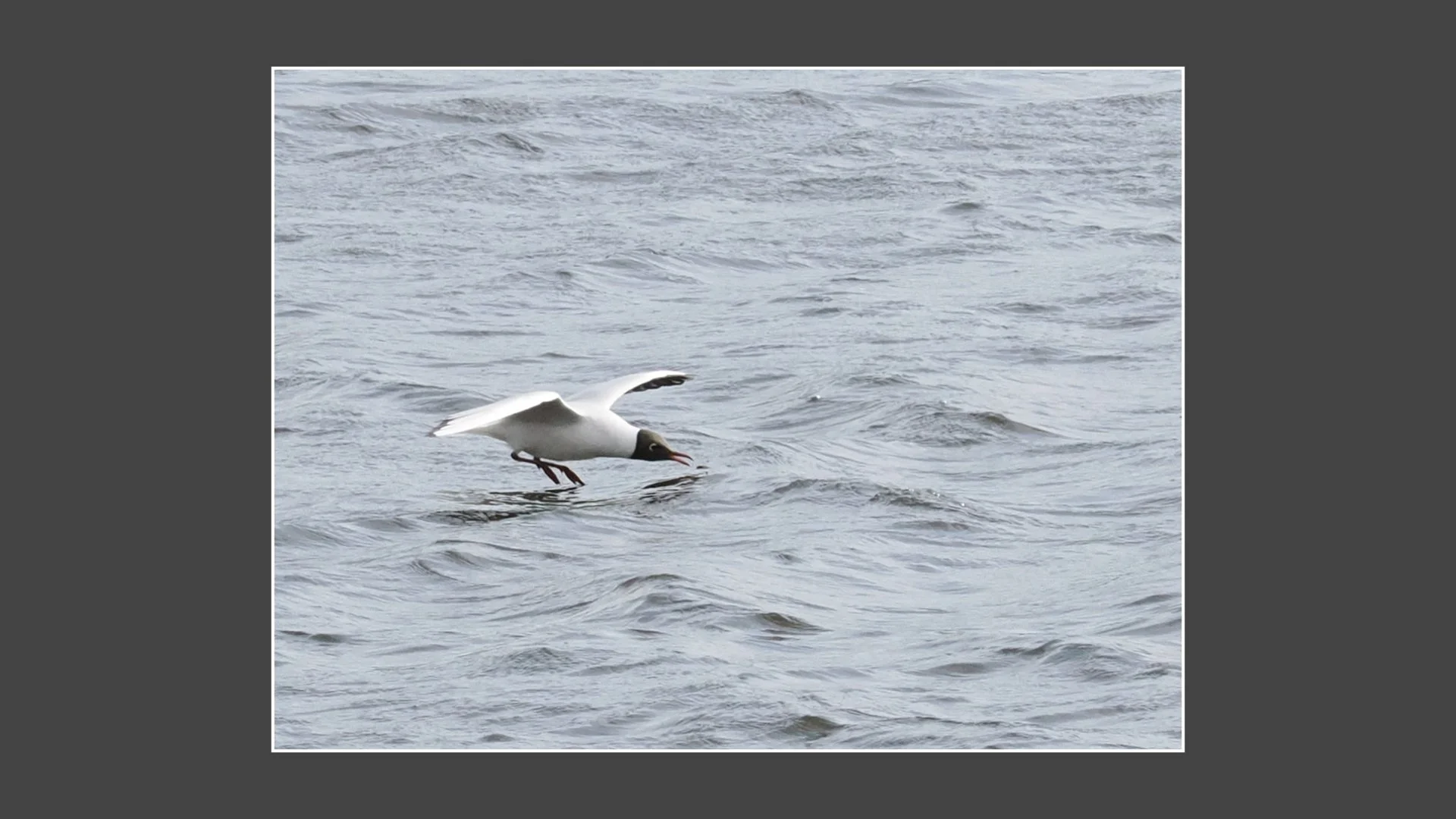 Kinsbury WP.061.jpeg