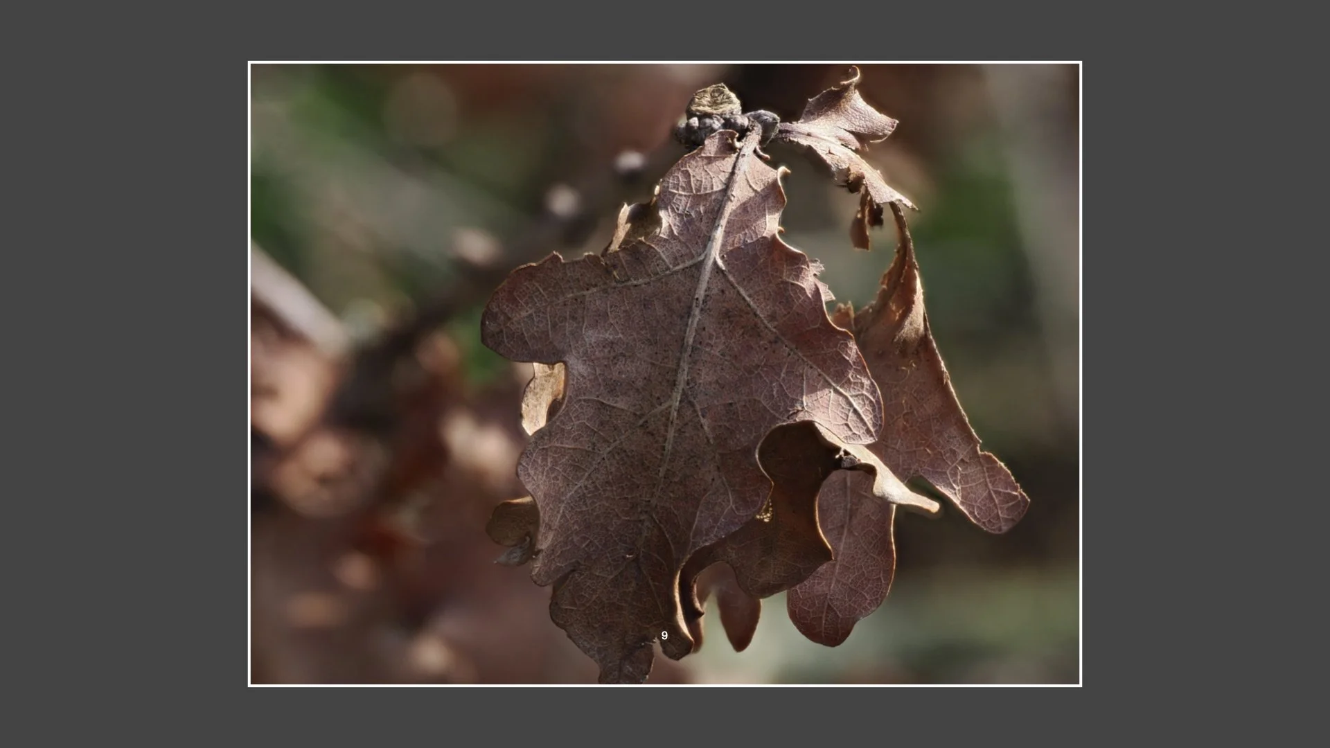 Kinsbury WP.009.jpeg