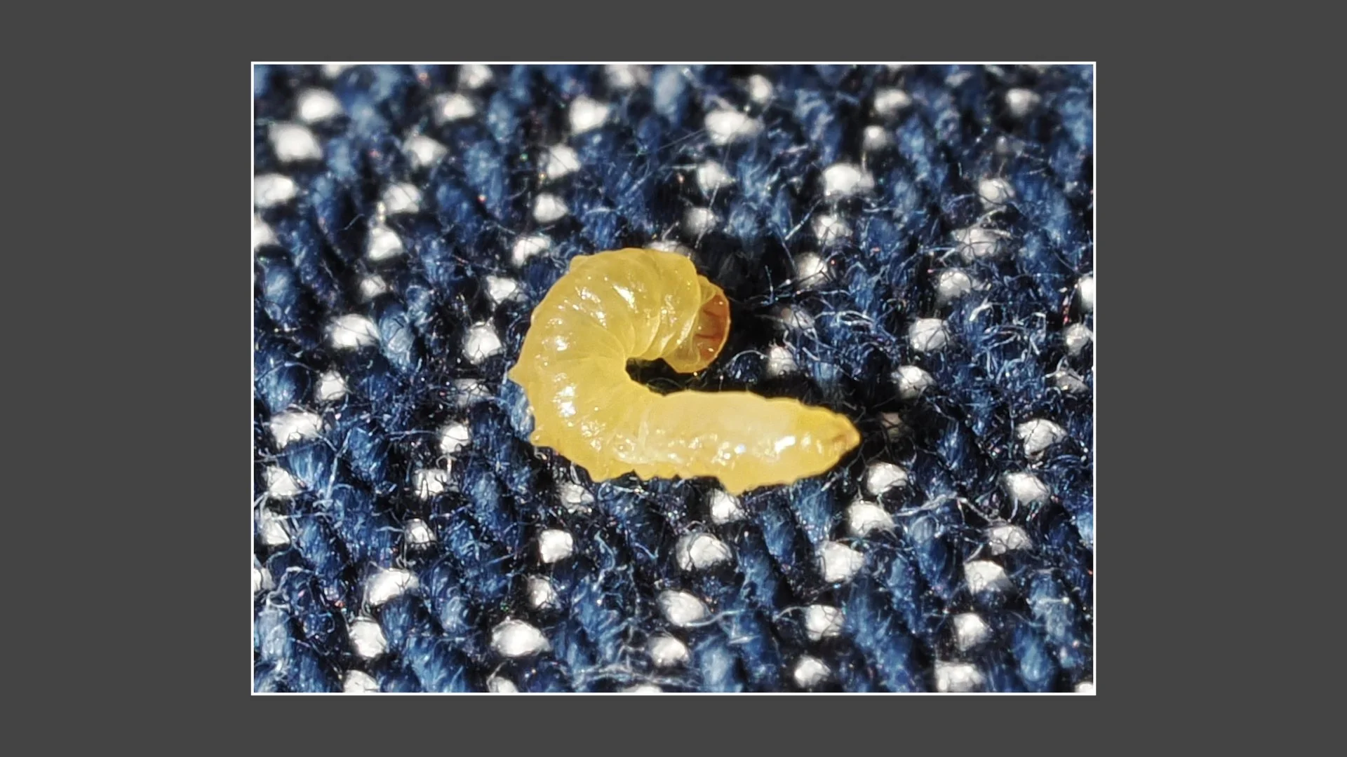 Kinsbury WP.056.jpeg