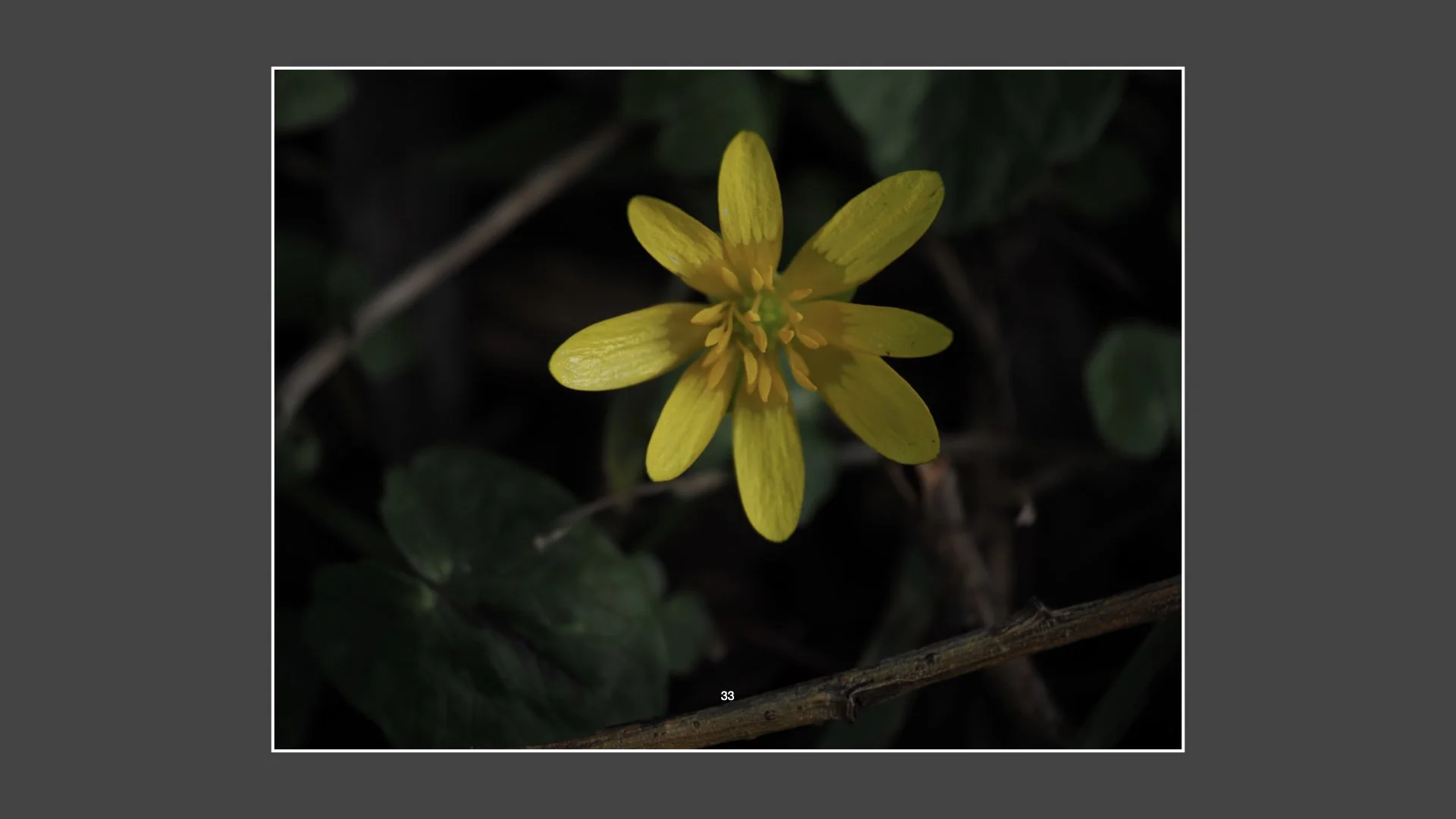 Kinsbury WP.033.jpeg