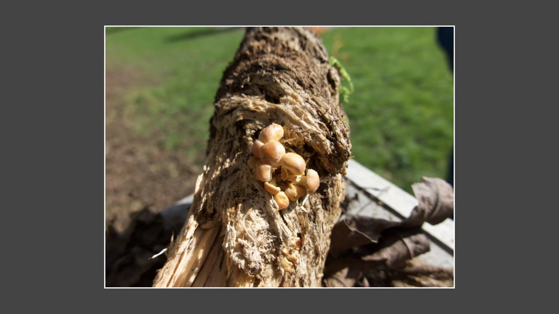 Kinsbury WP.014.jpeg