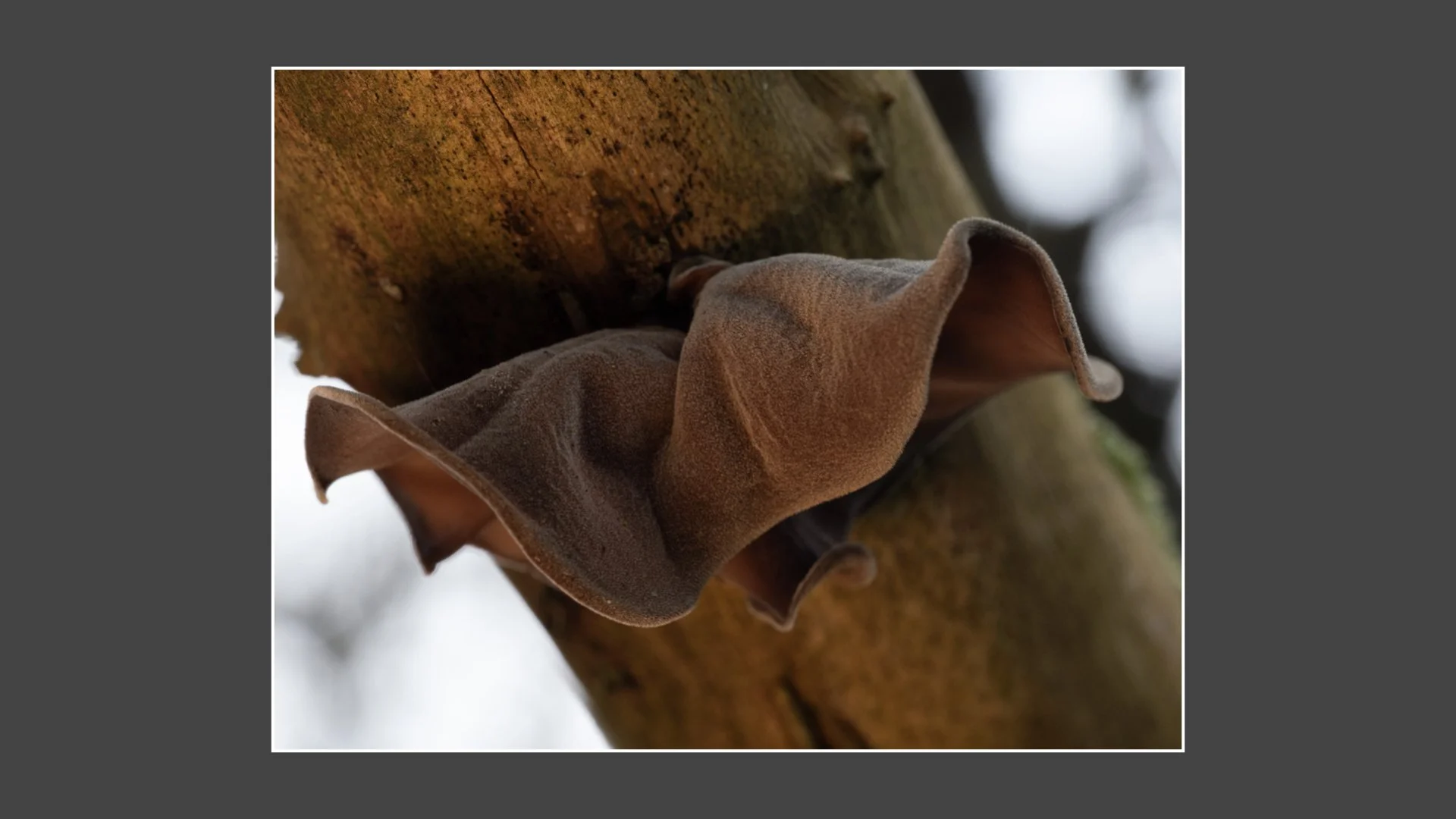 Kinsbury WP.032.jpeg