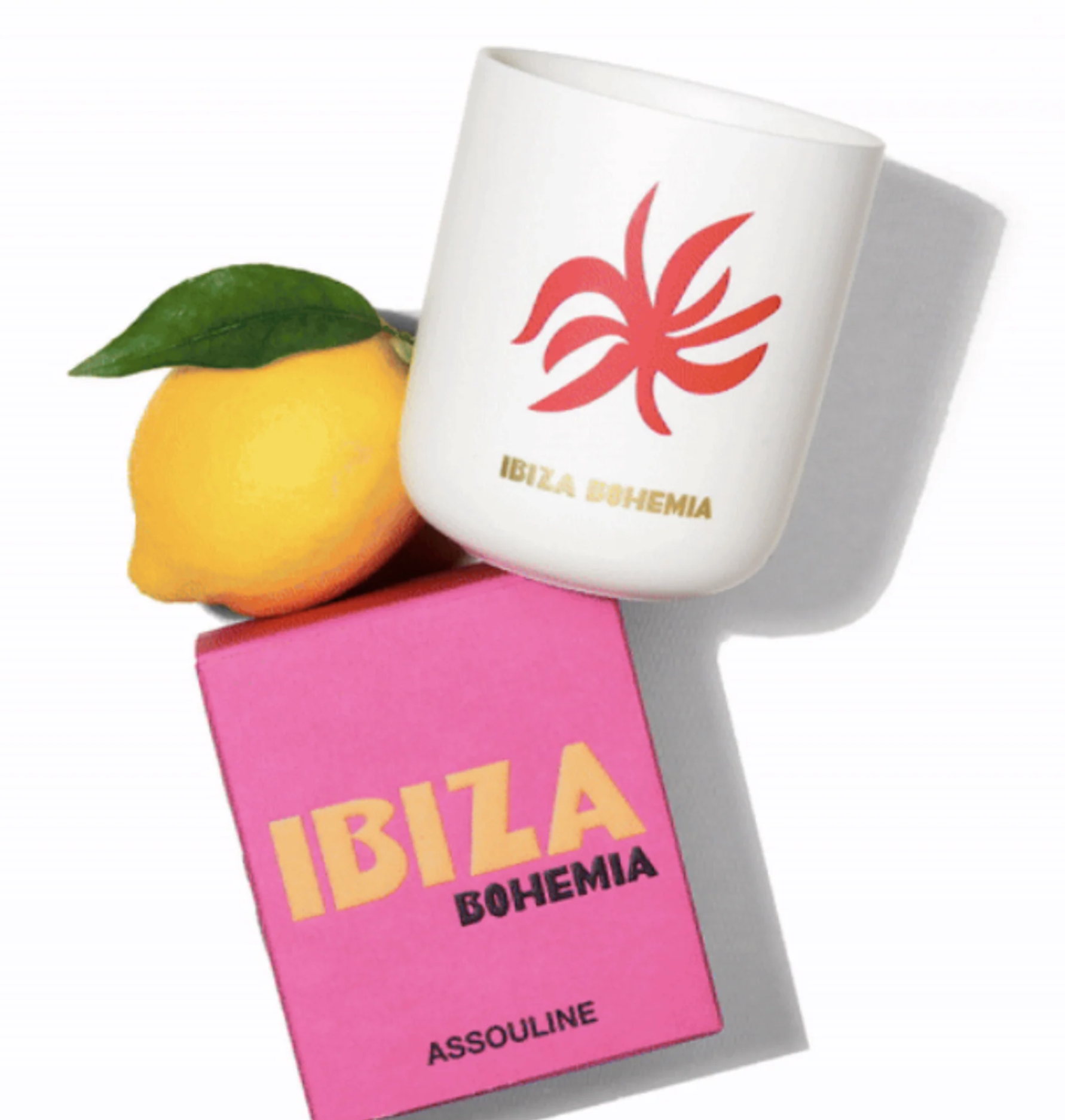 Screenshot 2026-03-05 at 4.03.14 PM.png