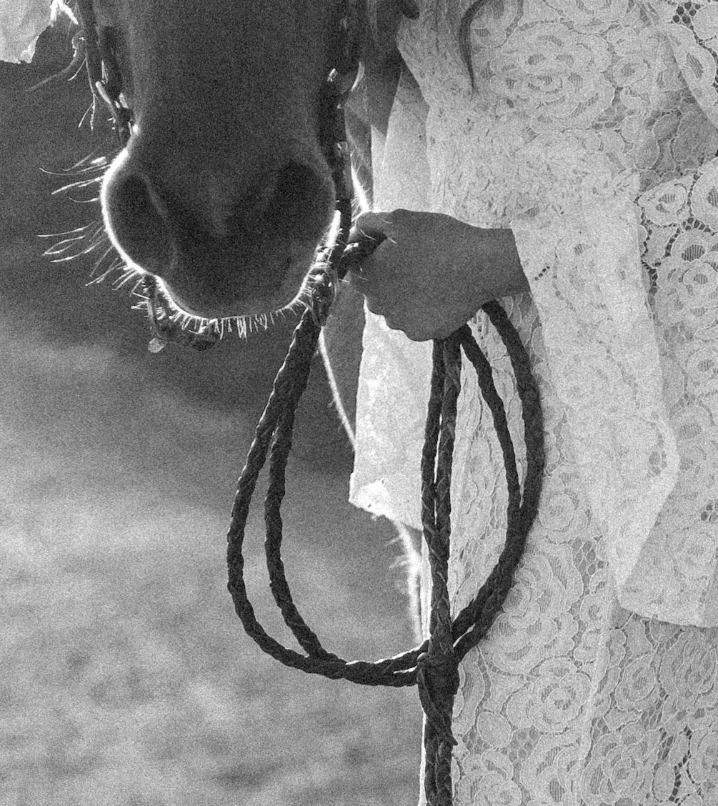 Close-up of a horse's nose with a bride on her wedding day holding a lead rope, Kansas City equine wedding photographer