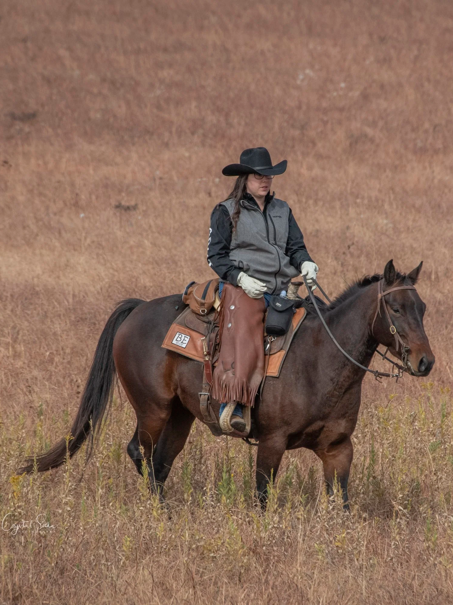 Woman wearing a black cowboy hat, sunglasses, and a gray and black jacket riding a brown horse in a grassy field.