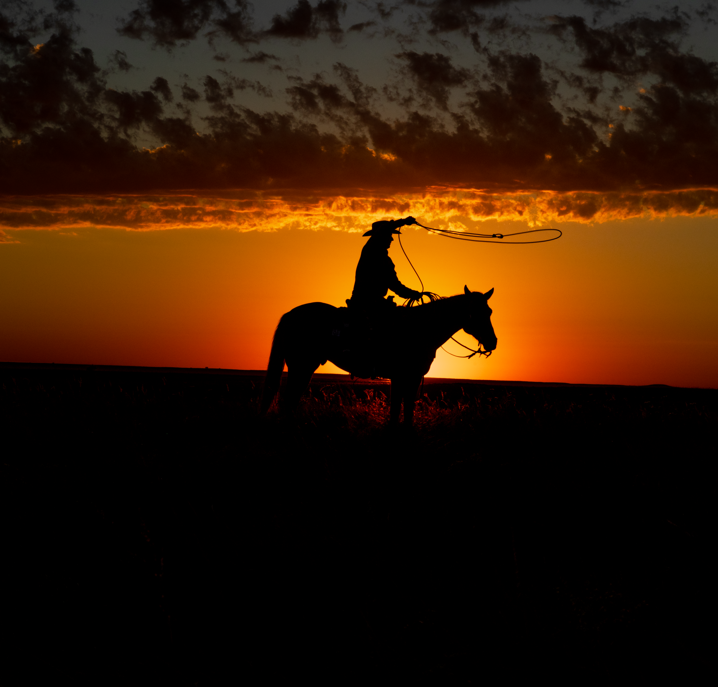 0J4A0220 (1).png
