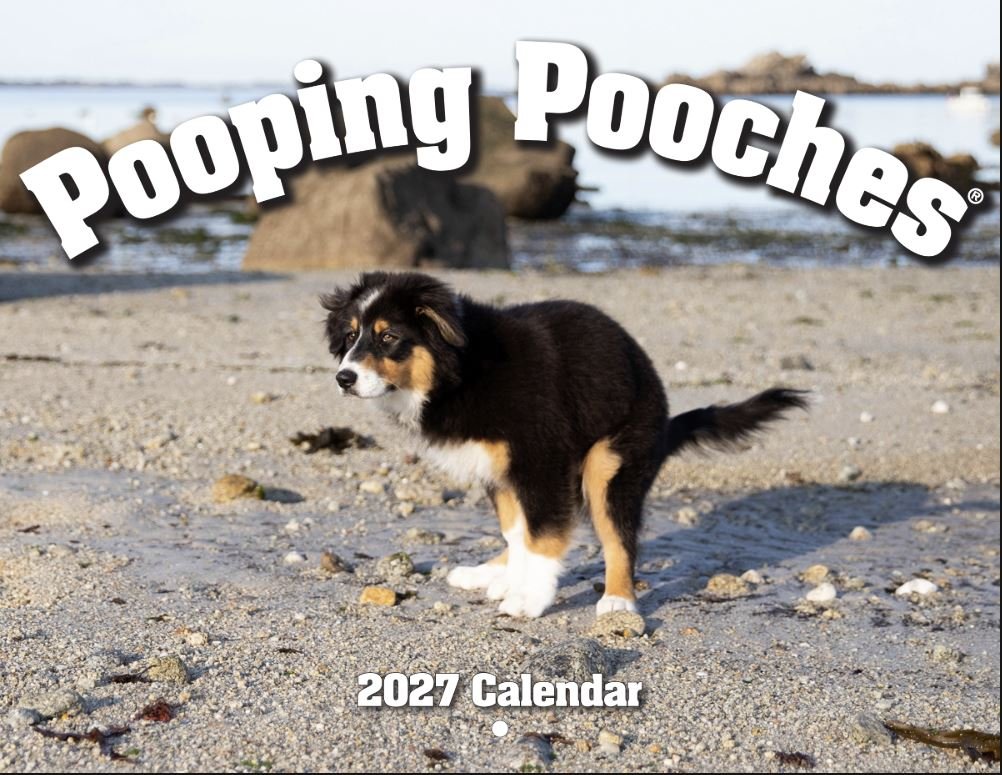 2027 Calendar