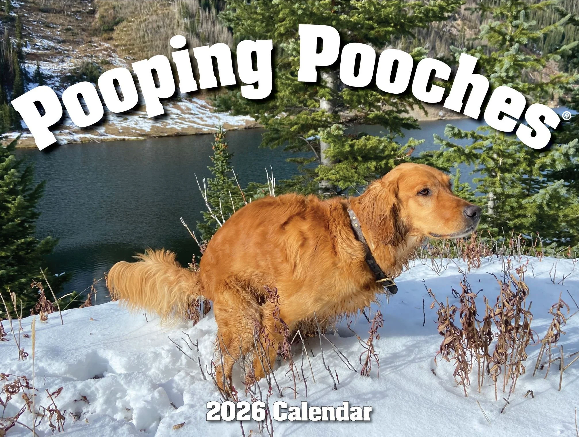 2026 screenshot cover.JPG