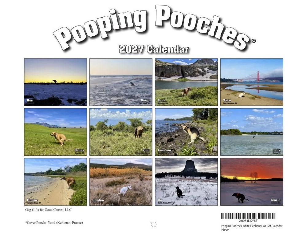 2027+Back+Cover.png