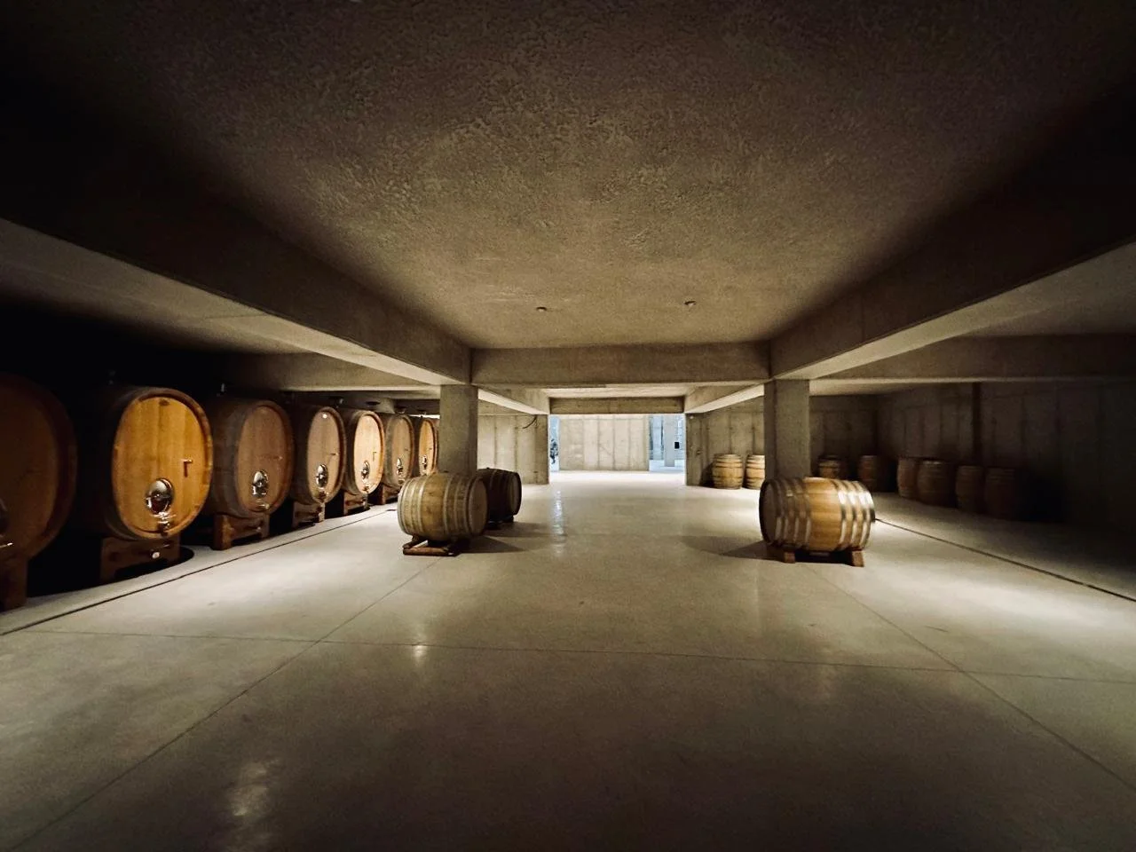 Magoutes Vinyards Xinomavro 2020