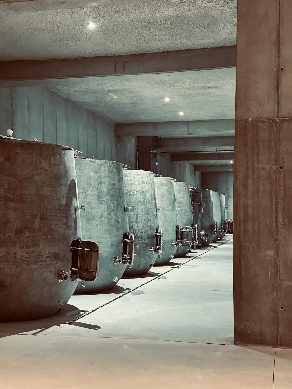 Magoutes Vinyards Concrete eggs