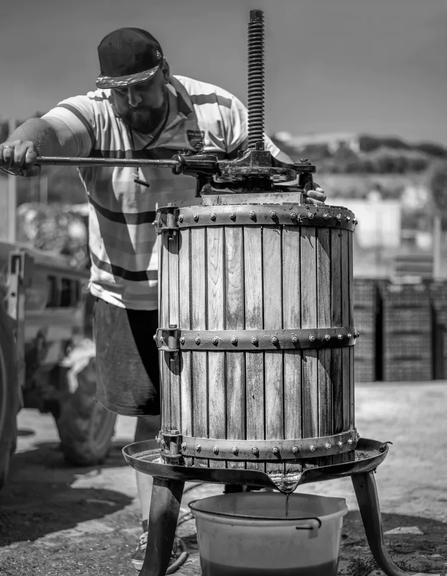 Thalassinos Microwinery Isidoros Thalassinos