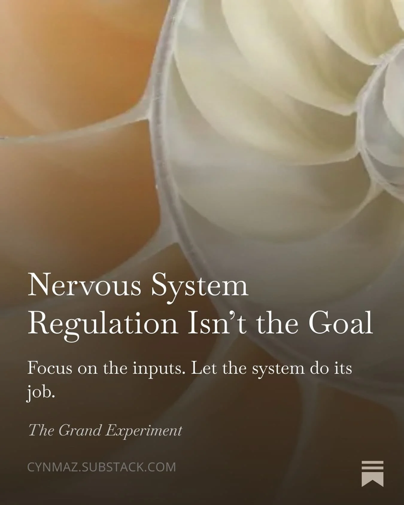Nervous system regulation isn&rsquo;t the starting line. It&rsquo;s a response to INPUTS. What are you feeding your system every day, in every way? THAT is the conversation I&rsquo;m personally excited to have here in the coming weeks 🥰 Read the pie
