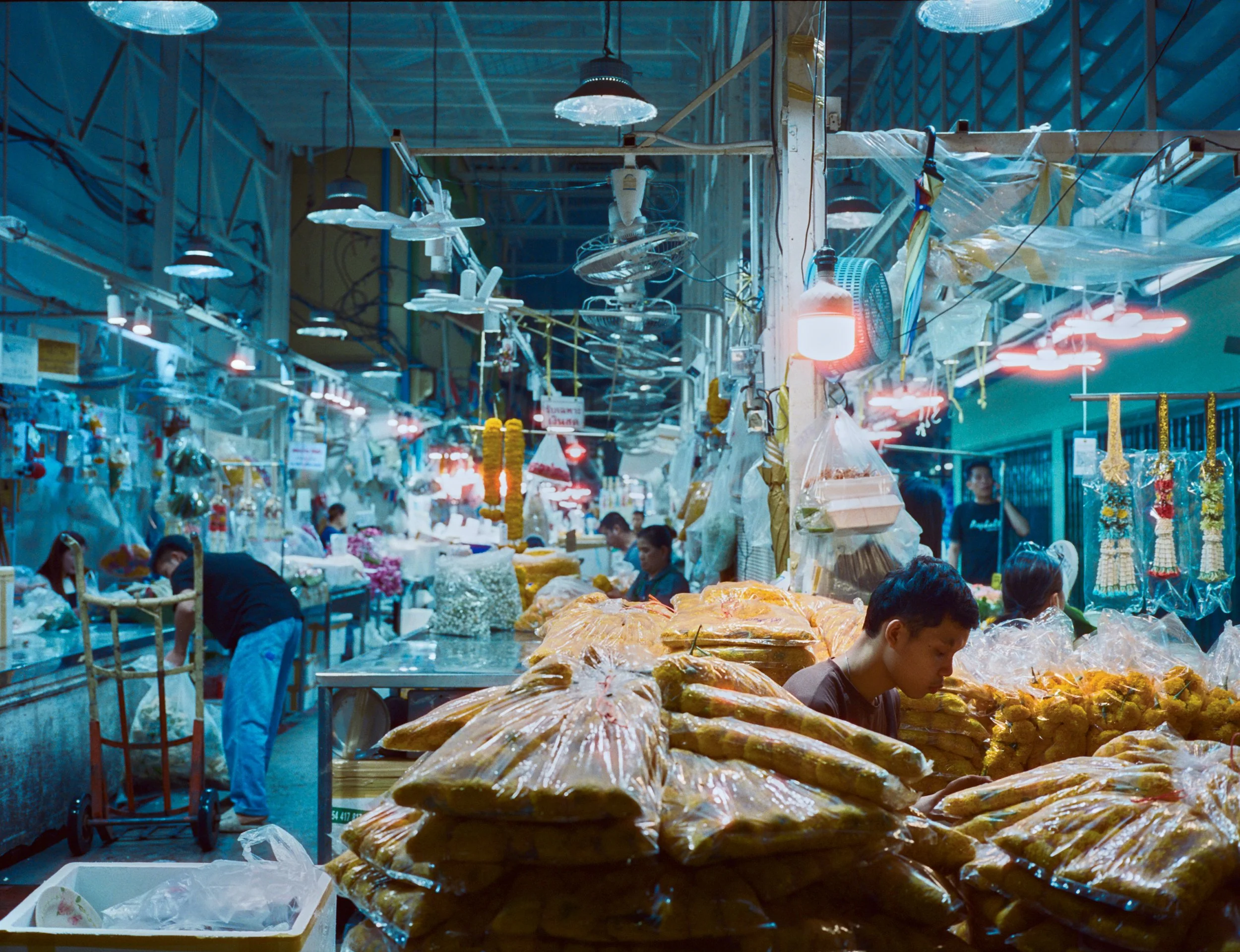 KATHRYN_HUANG1 copy.jpg