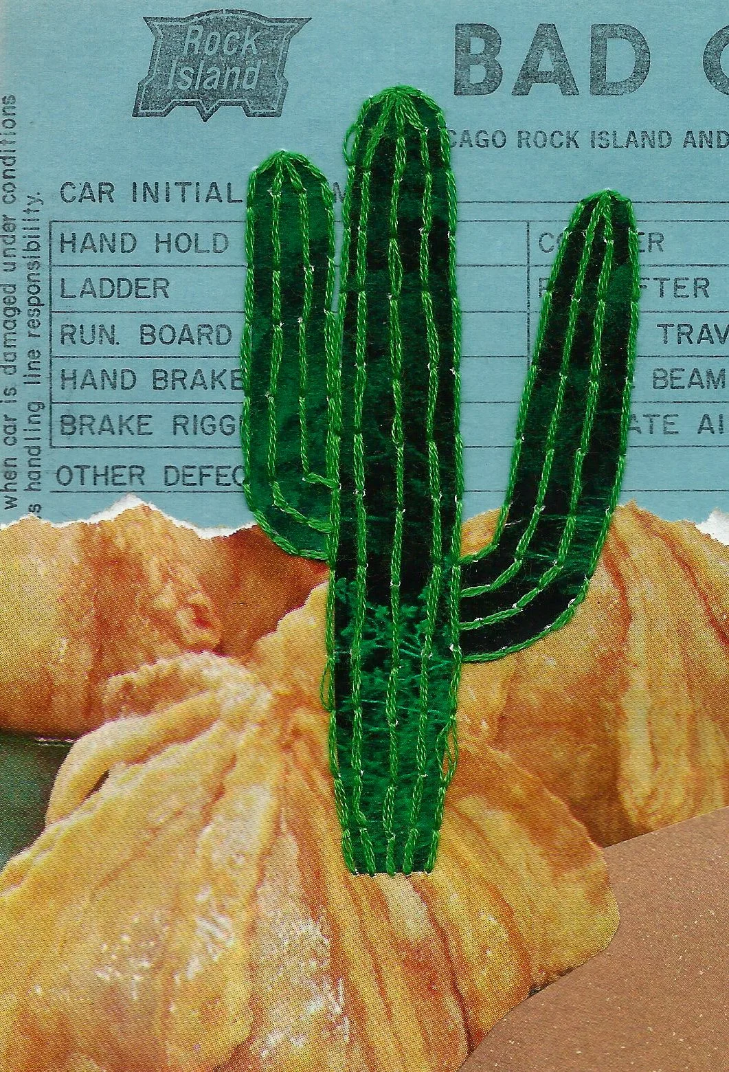 Cactus6.jpg