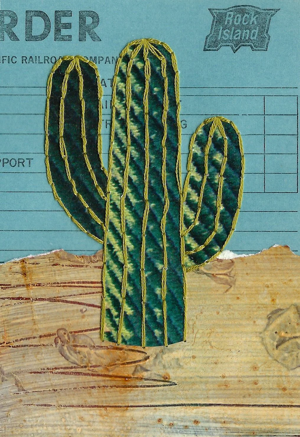 Cactus5.jpg