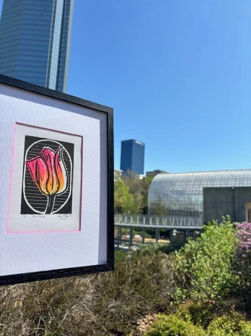 Tulip Mania 2025, OKC Myriad Gardens